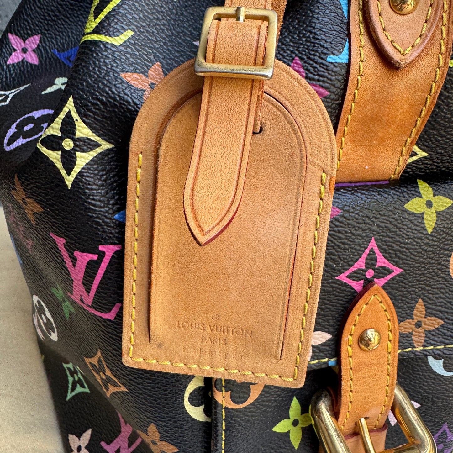 Louis Vuitton Multicolore Petit Noe Bucket Drawstring Shoulder Bag