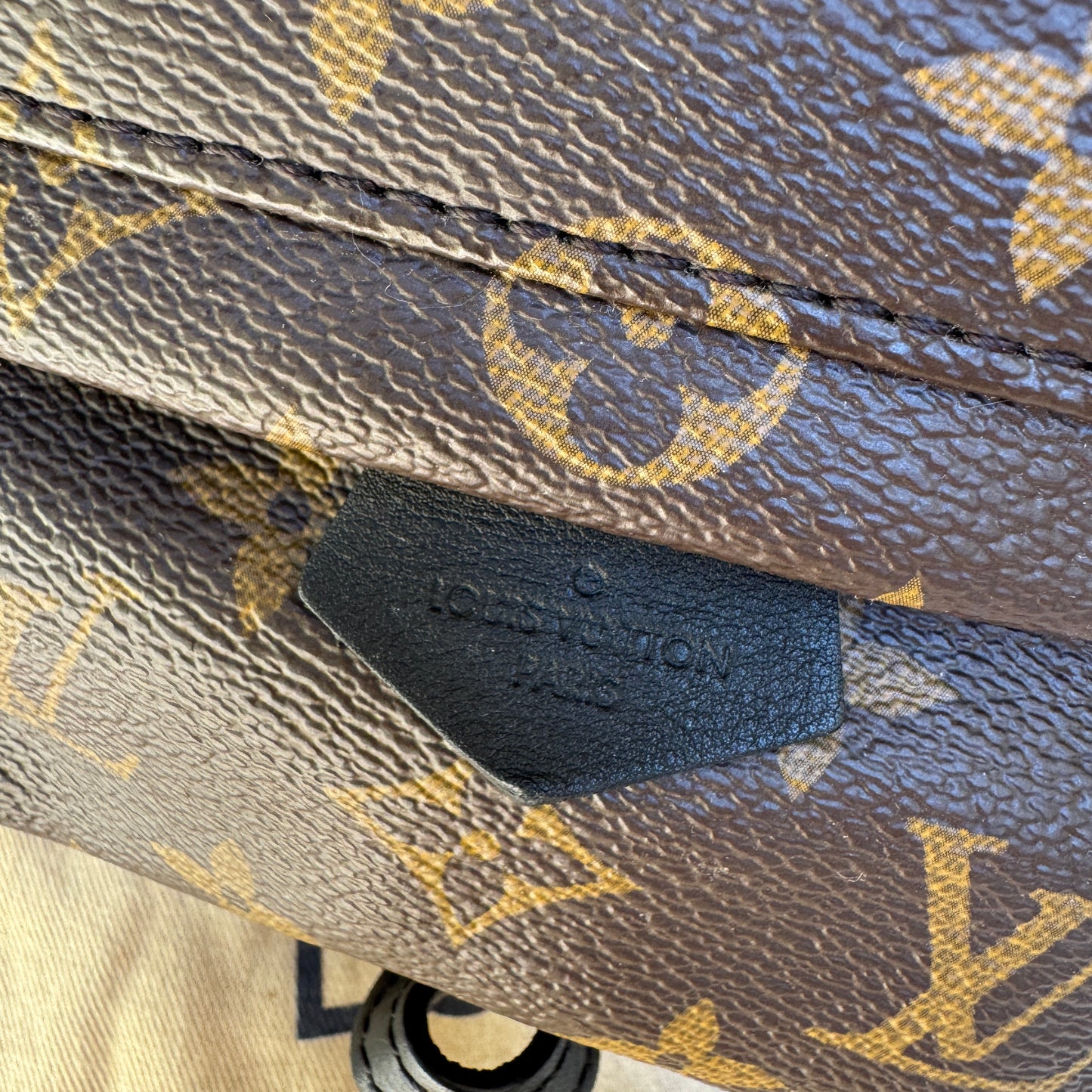 Louis Vuitton Monogram Mini Palm Springs Backpack