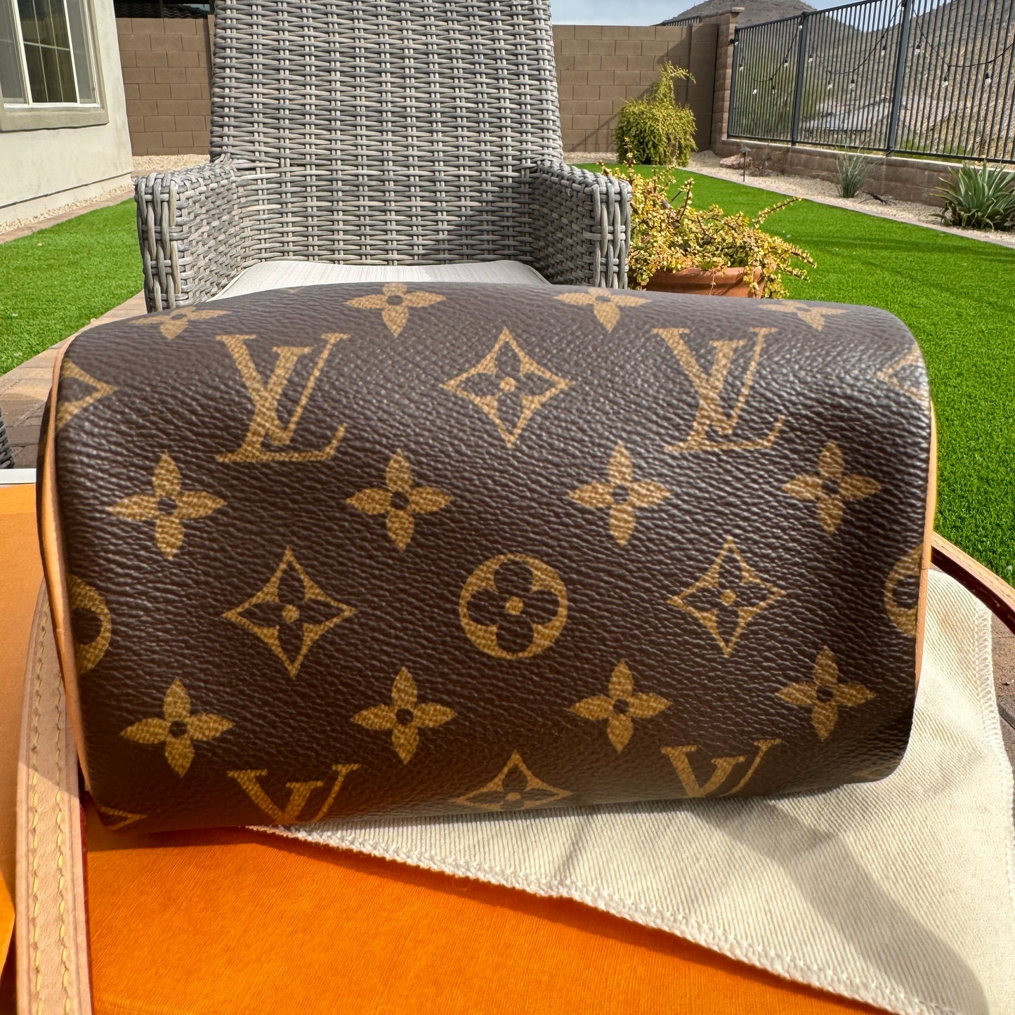 Louis Vuitton Monogram Nano Speedy Bandouliere