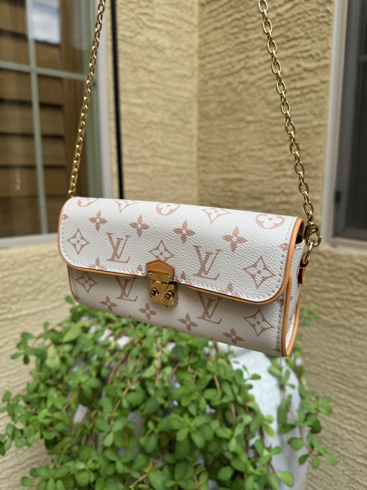 Louis Vuitton Monogram Dune Camille Pochette
