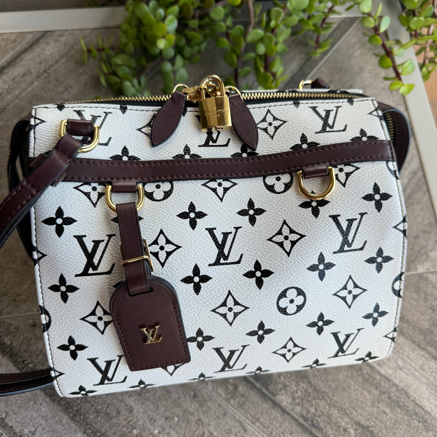 Louis Vuitton Monogram Speedy Amazon PM