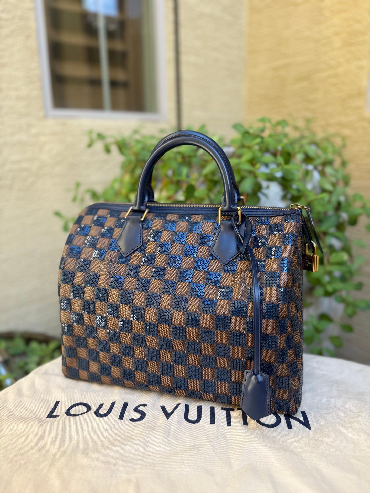 Louis Vuitton Damier Paillettes Speedy 30