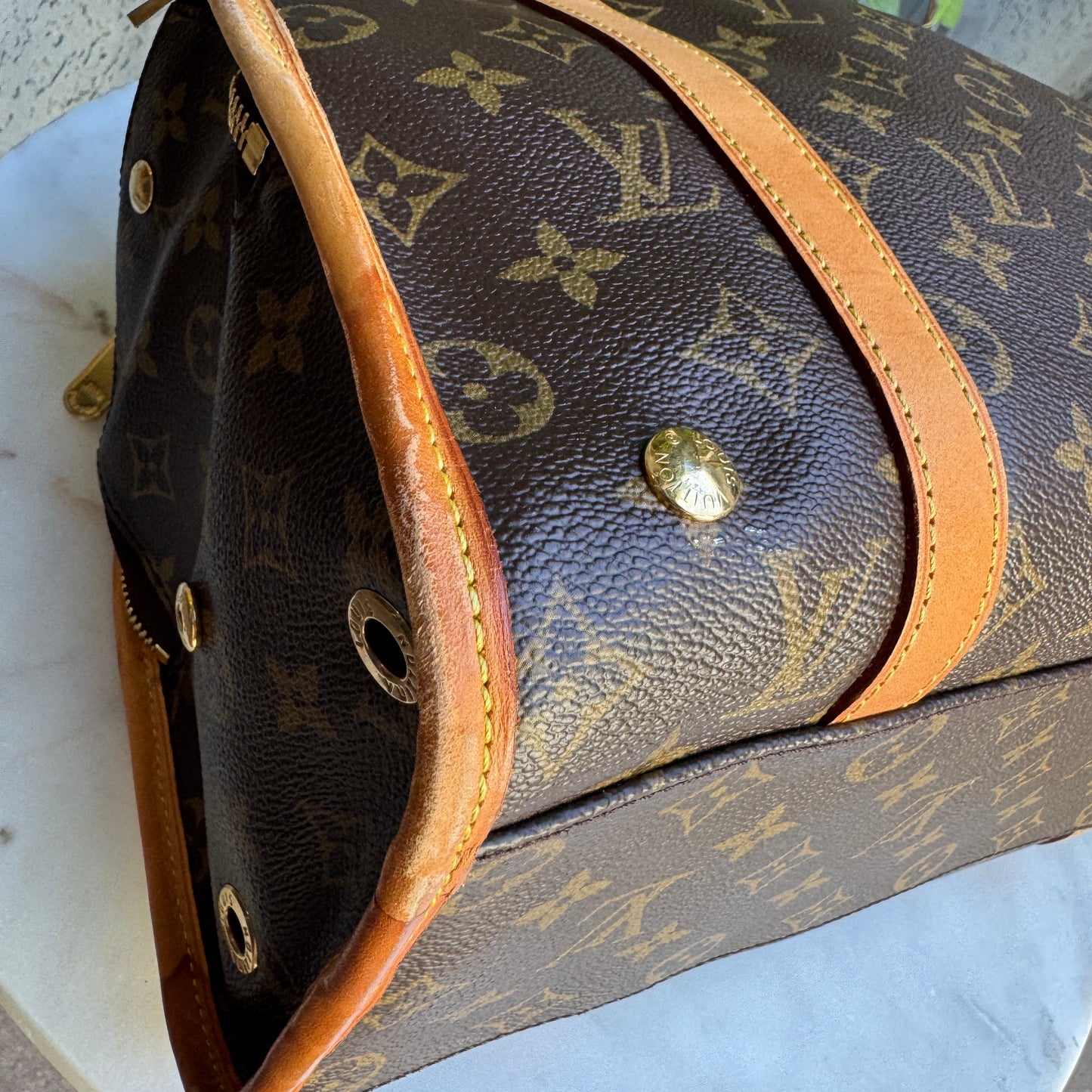 Louis Vuitton Monogram Baxter PM Dog Carrier
