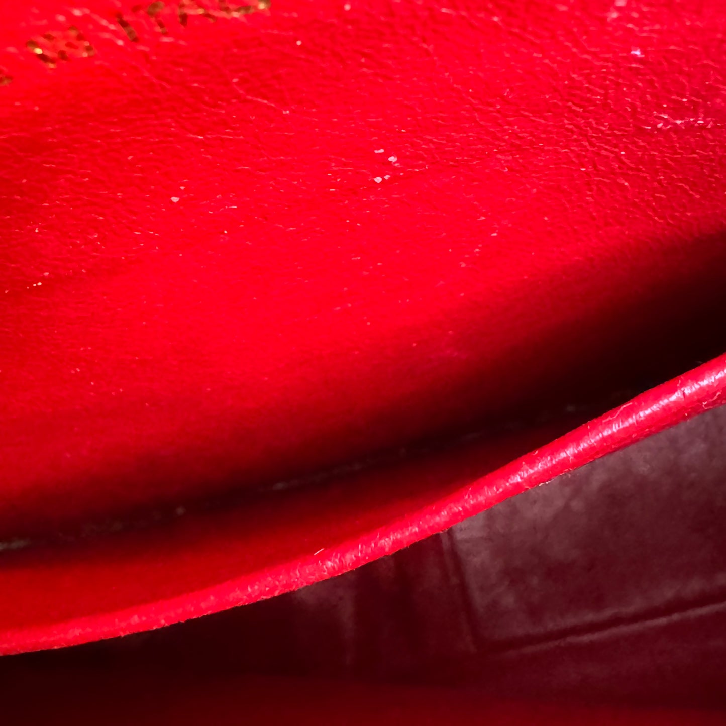 Chanel Caviar Leather Camera CC Vintage Flap Crossbody