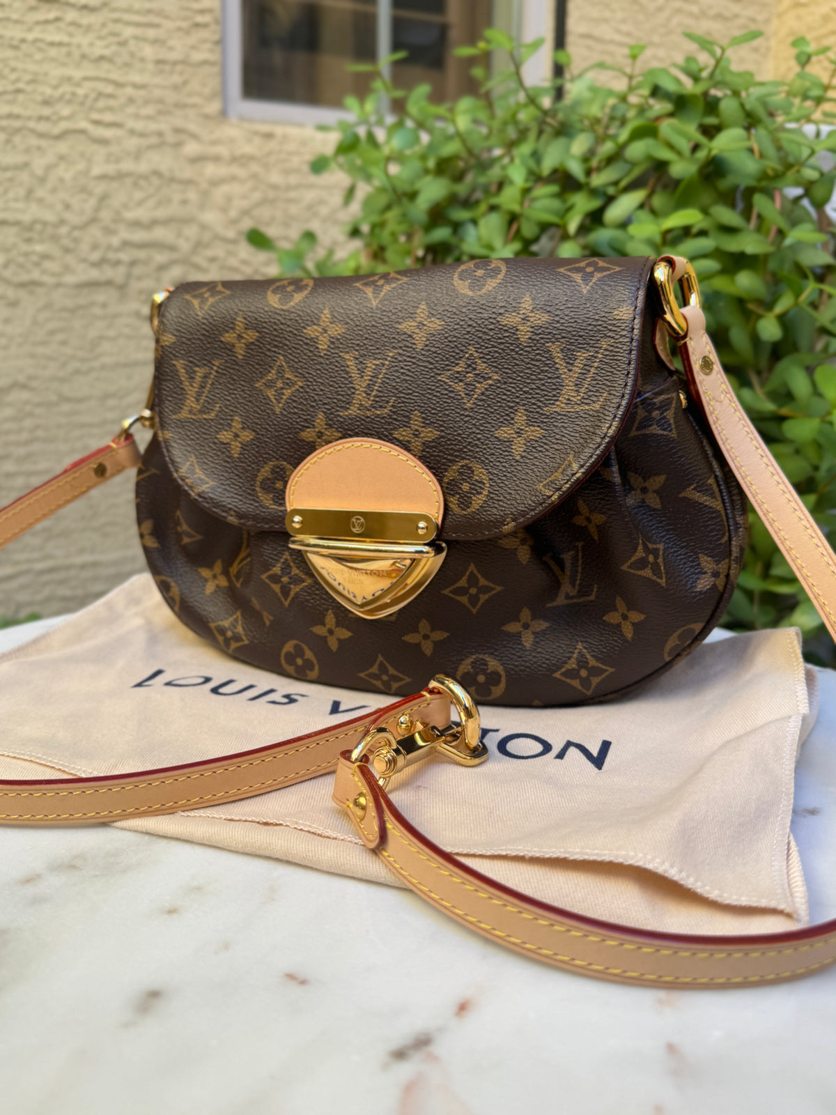 Louis Vuitton Monogram Sunset Bag