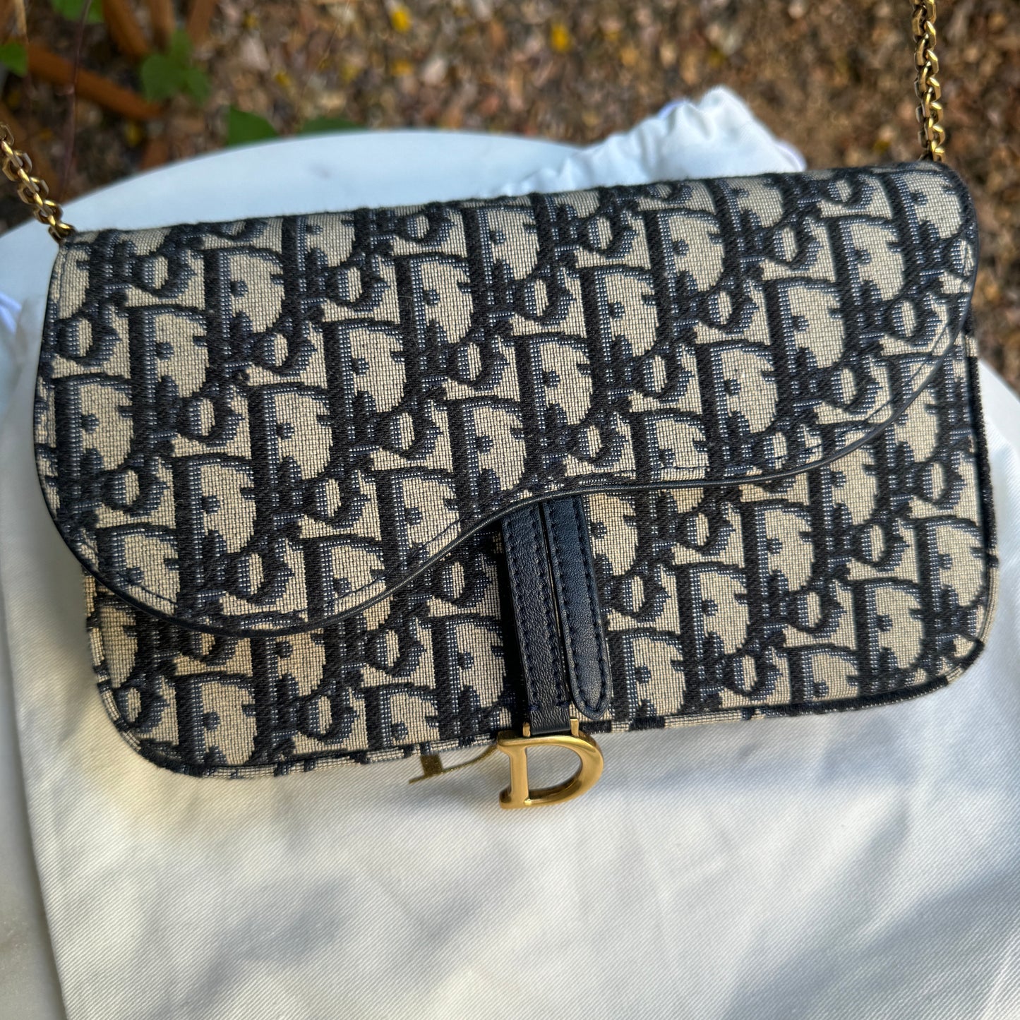 Dior Saddle Pouch with Chain Crossbody