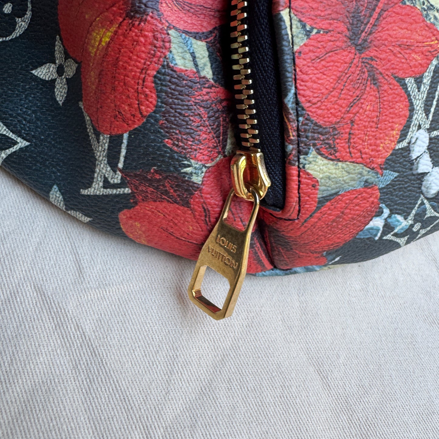 Louis Vuitton Monogram Surfin’ Rush Bumbag