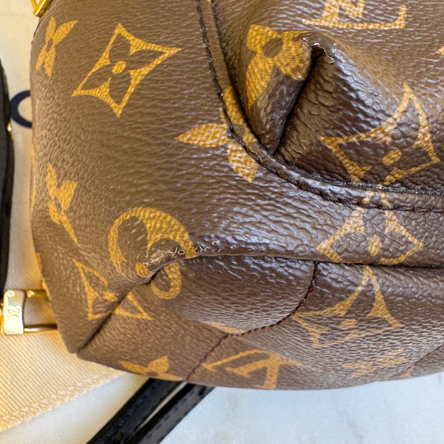 Louis Vuitton Monogram Mini Palm Springs Backpack