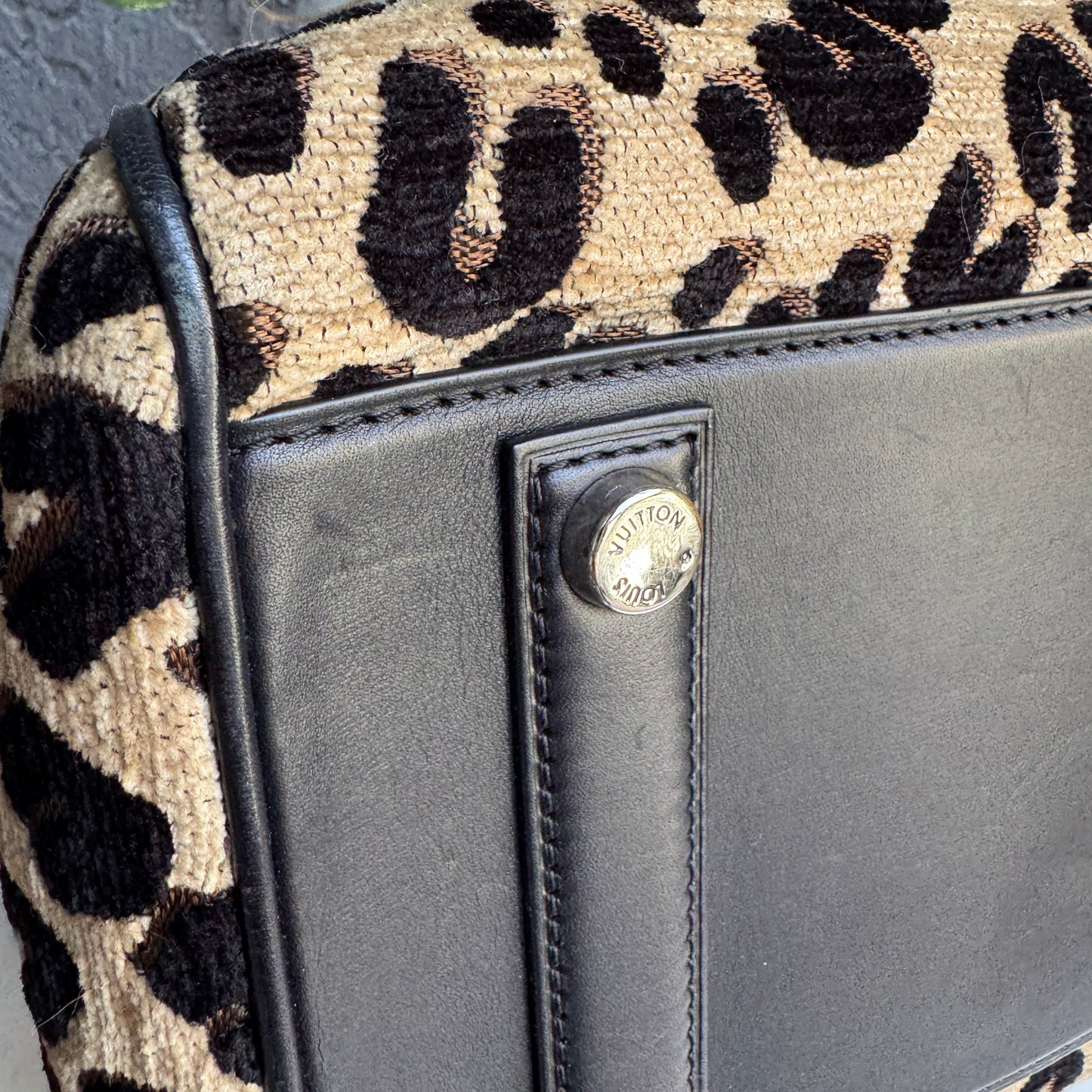 Louis Vuitton Stephen Sprouse Leopard Speedy