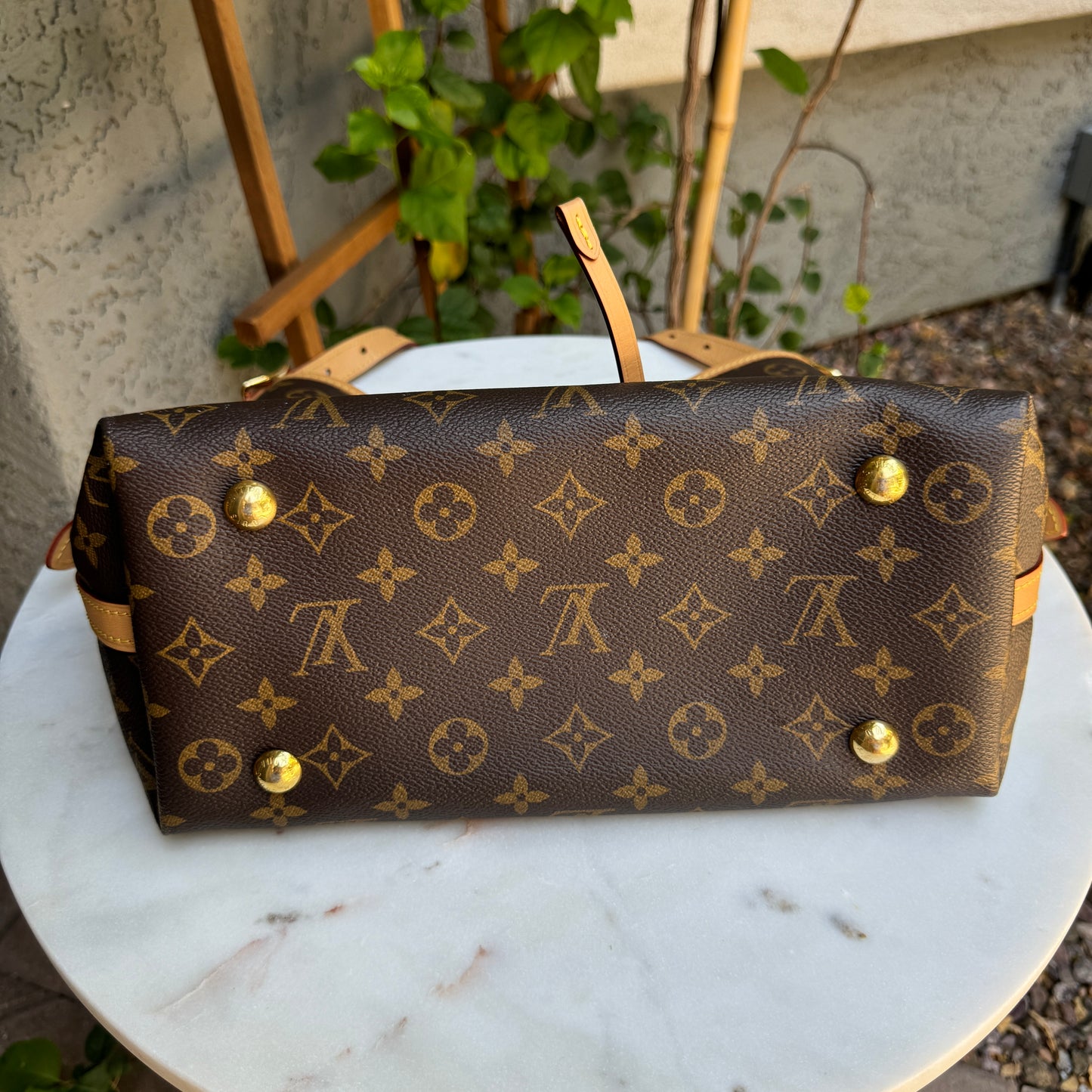 Louis Vuitton Monogram CarryAll PM