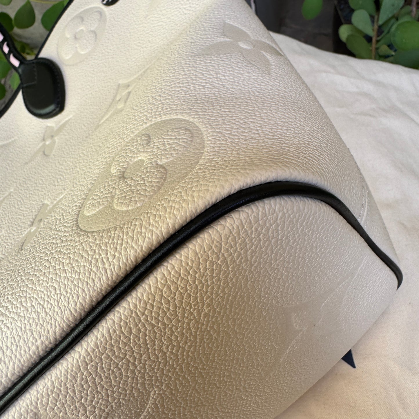 Louis Vuitton Wild at Heart Neverfull MM