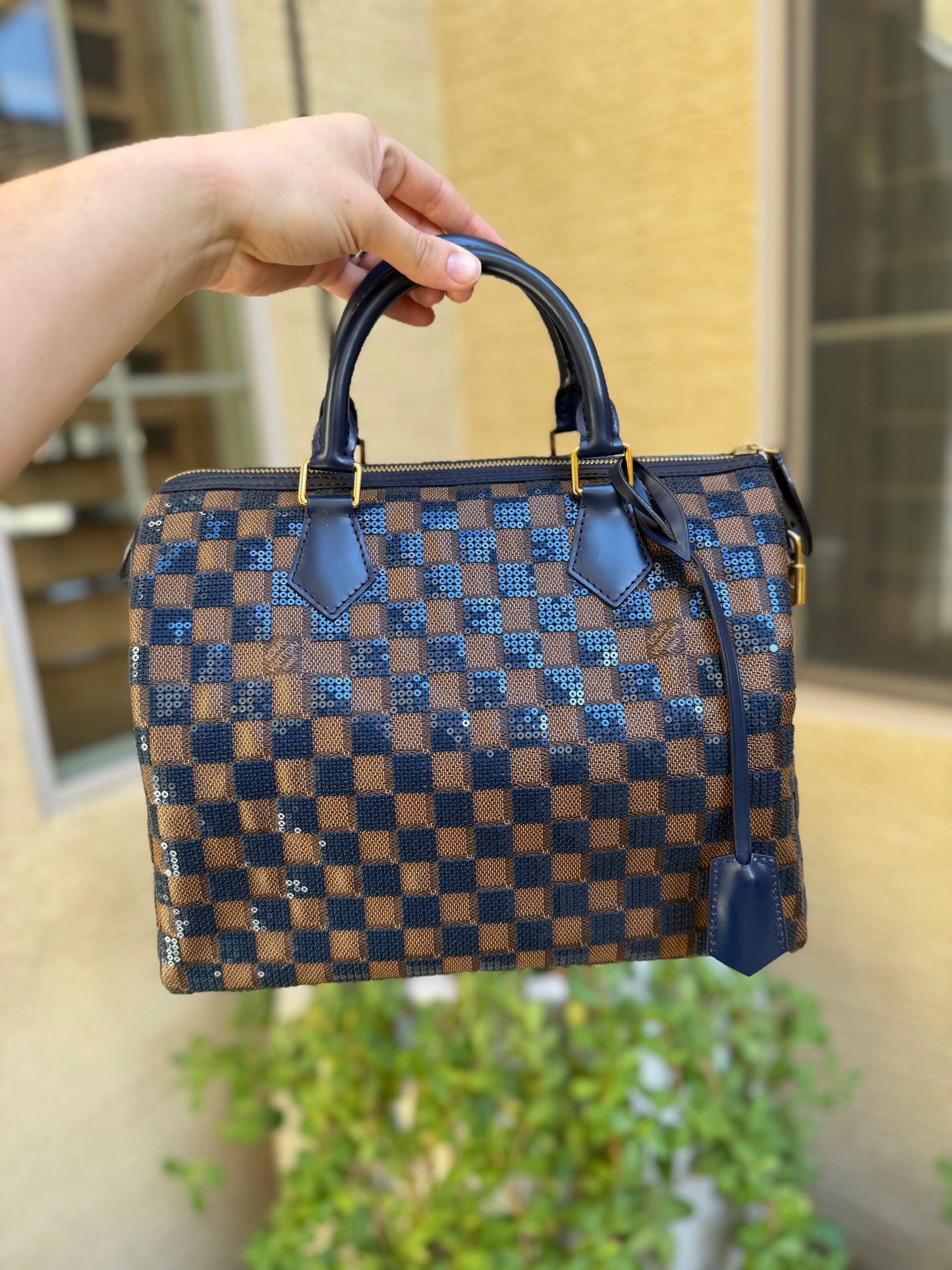 Louis Vuitton Damier Paillettes Speedy 30