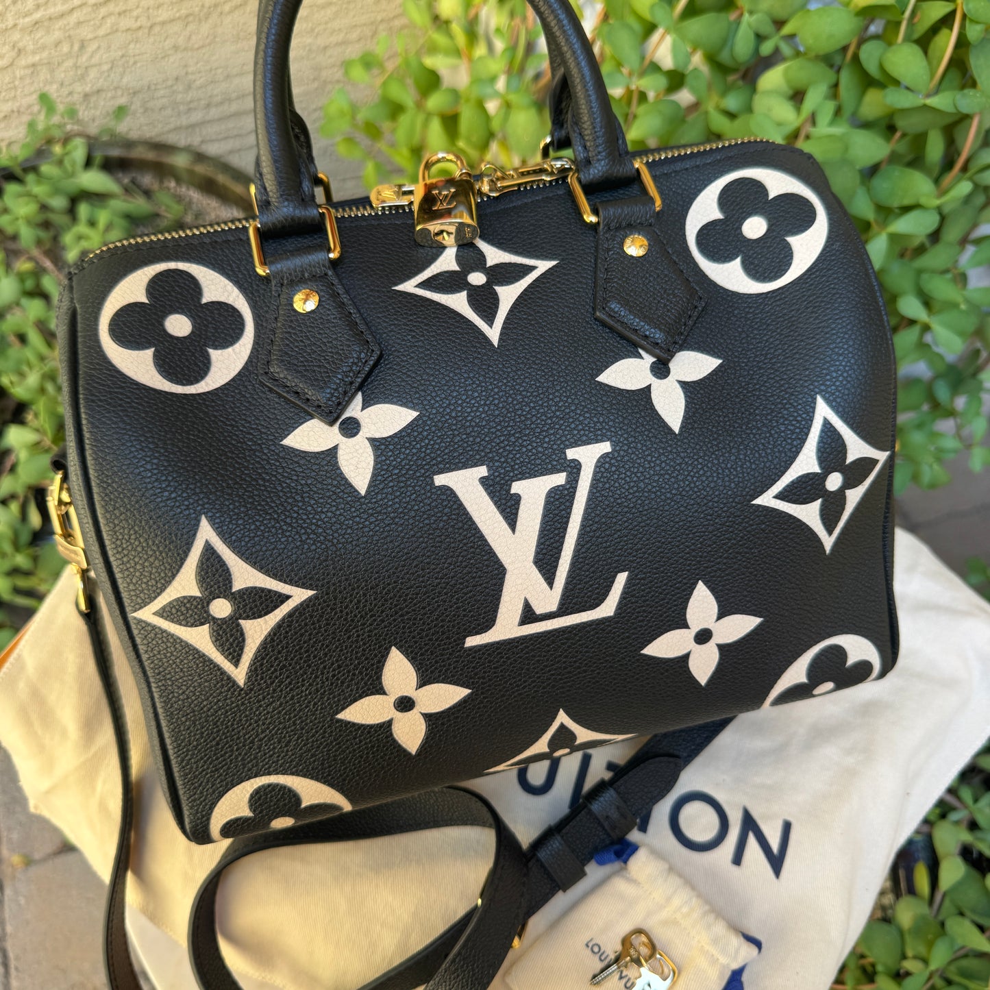 Louis Vuitton Speedy Bandoulière 25
