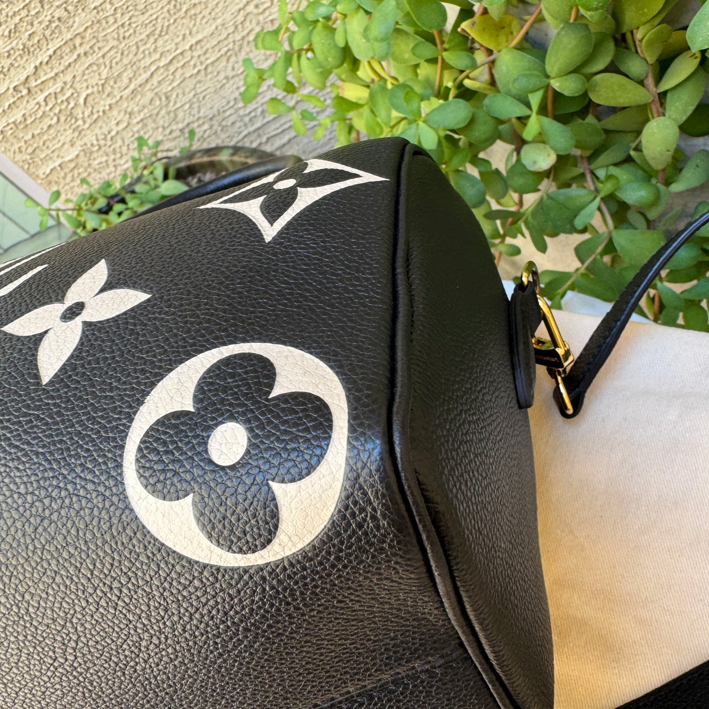 Louis Vuitton Speedy Bandoulière 25