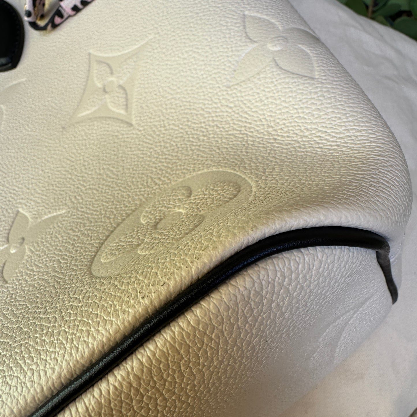 Louis Vuitton Wild at Heart Neverfull MM