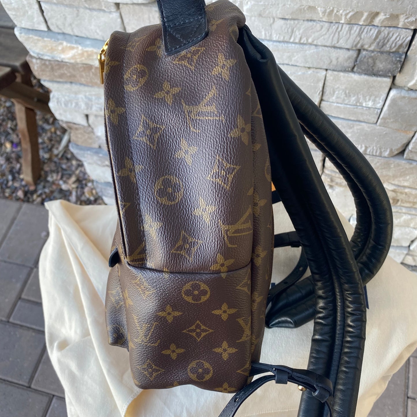 Louis Vuitton Monogram Palm Springs PM Backpack