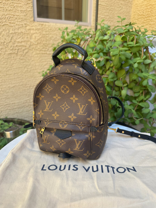 Louis Vuitton Monogram Mini Palm Springs Backpack