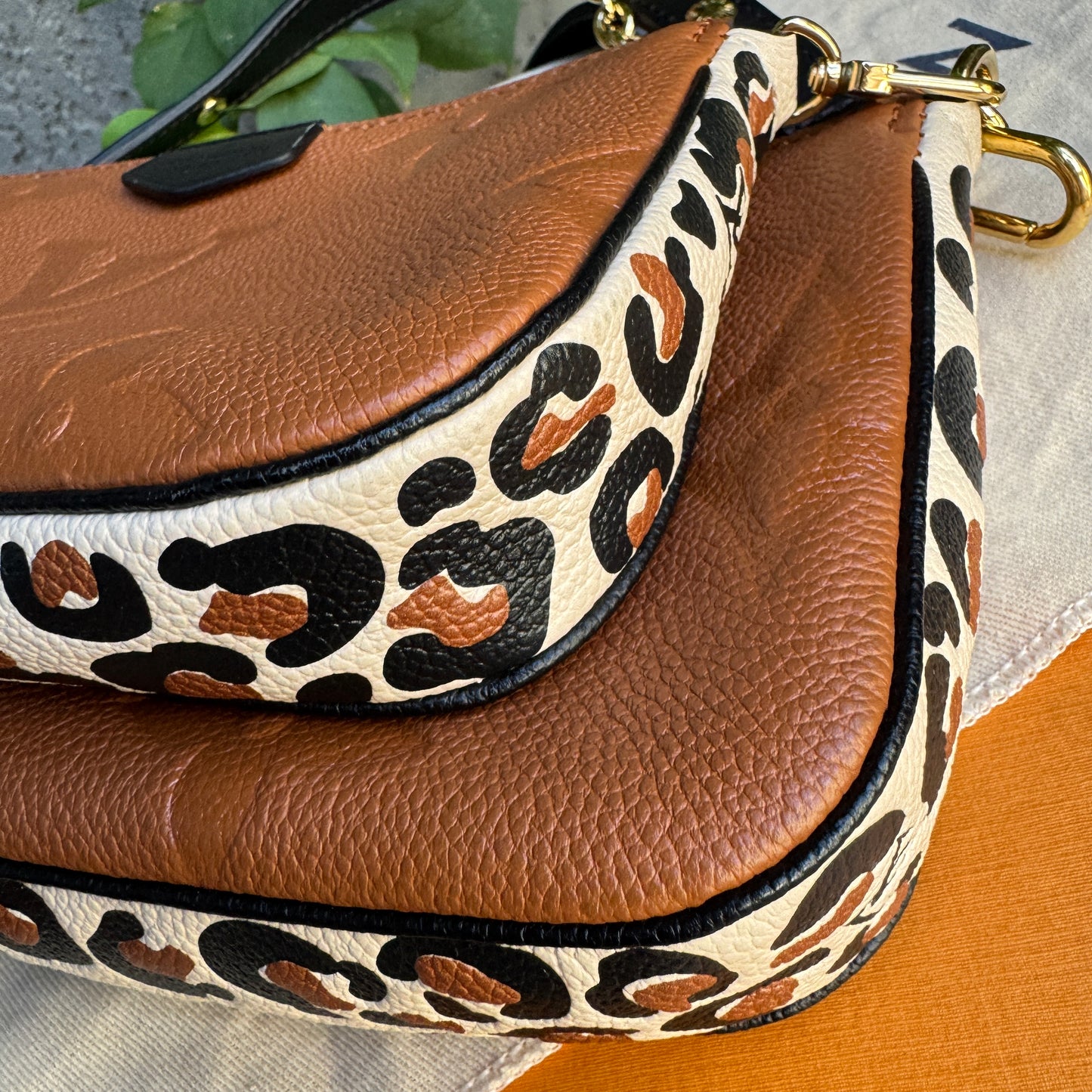 Louis Vuitton Wild at Heart Multi Pochette Accessoires