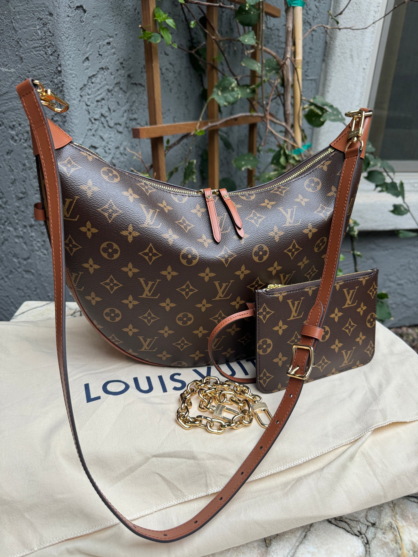 Louis Vuitton Loop Hobo