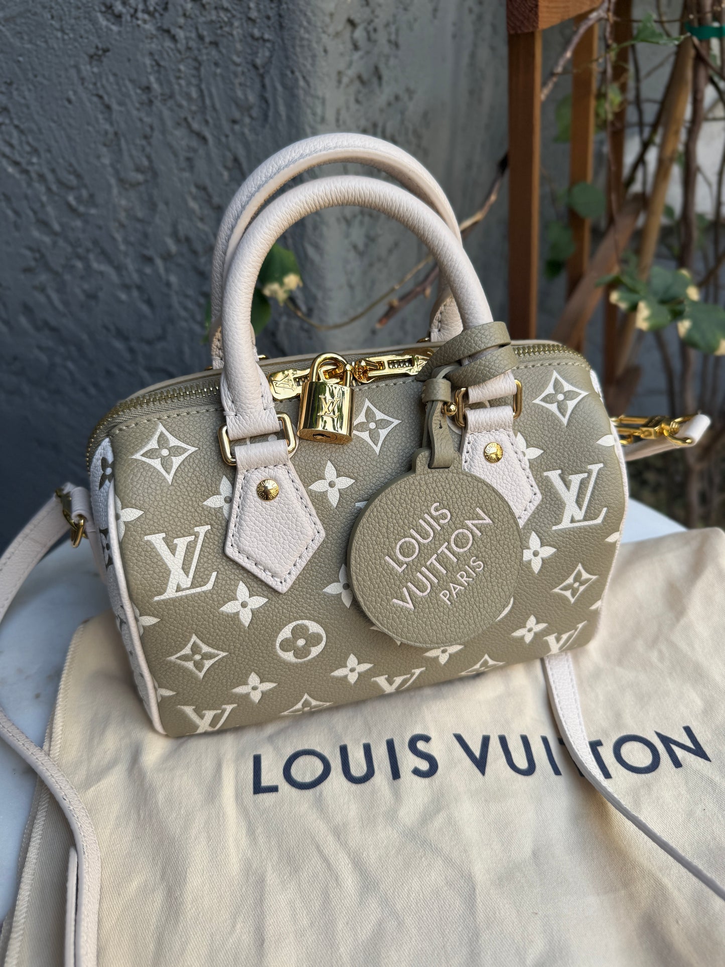 Louis Vuitton Speedy Bandoulière 20 Crossbody