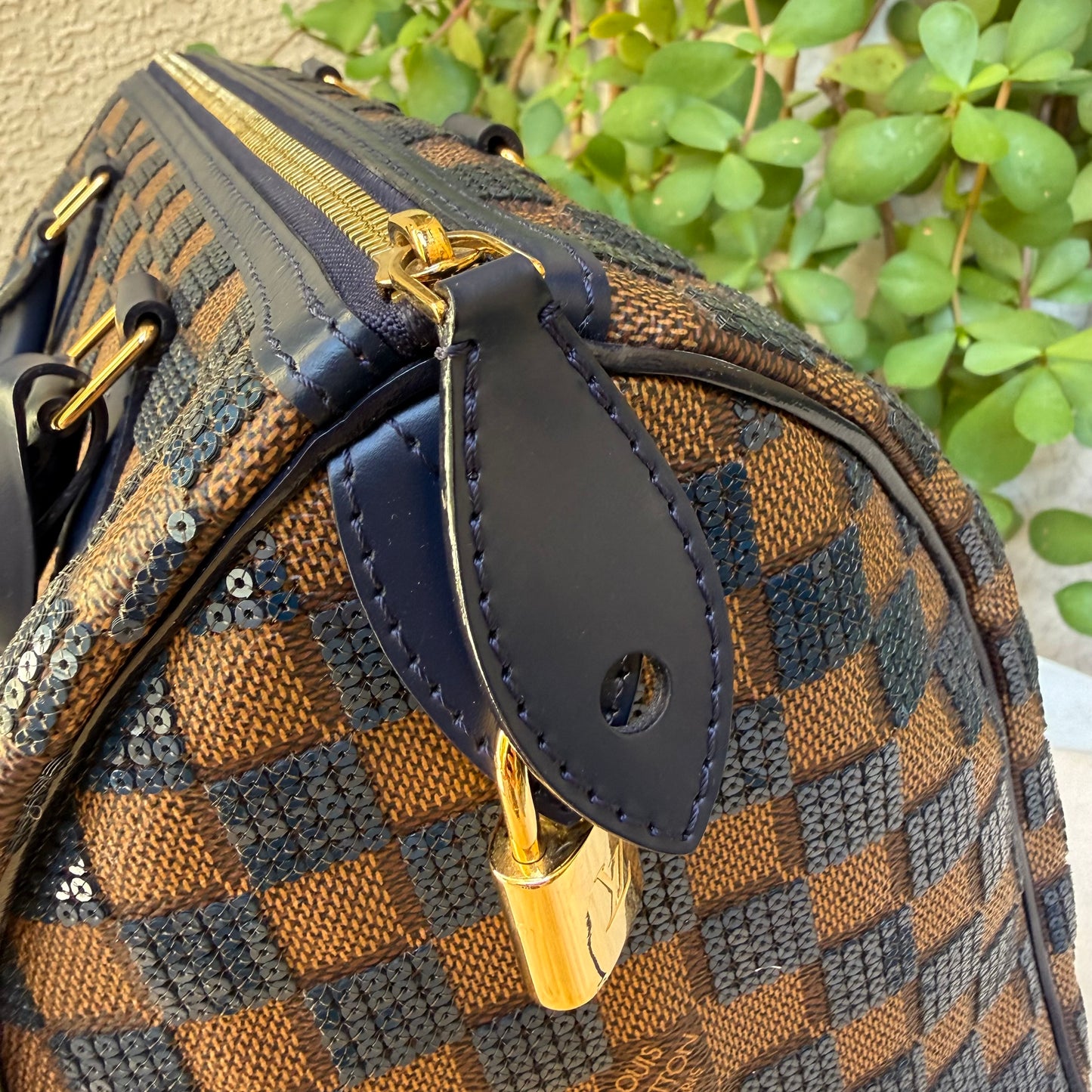 Louis Vuitton Damier Paillettes Speedy 30