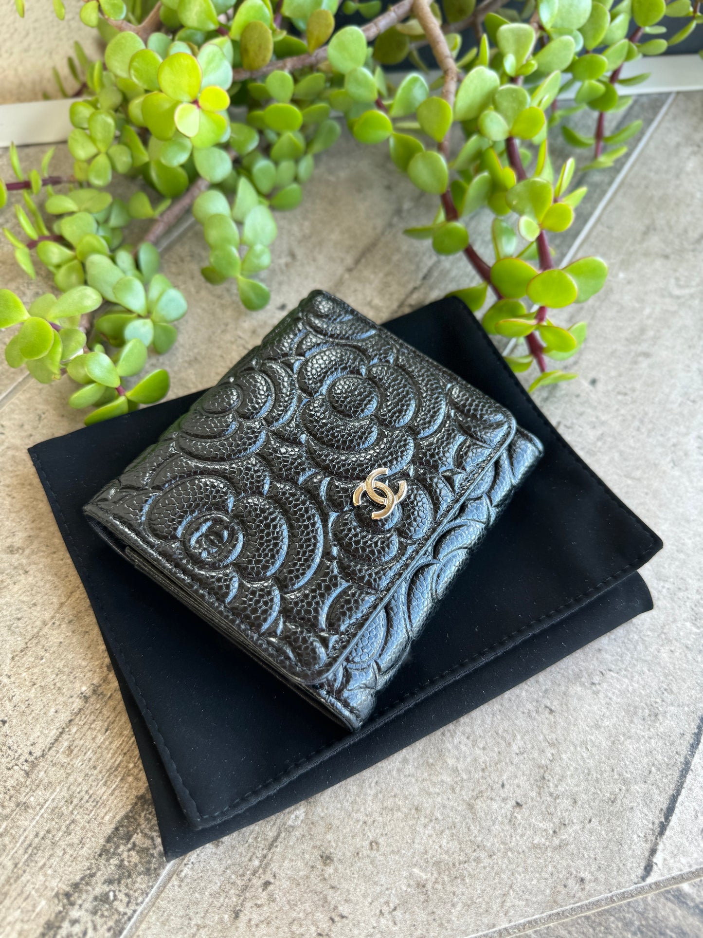 Chanel Camellia Caviar Leather Compact Wallet