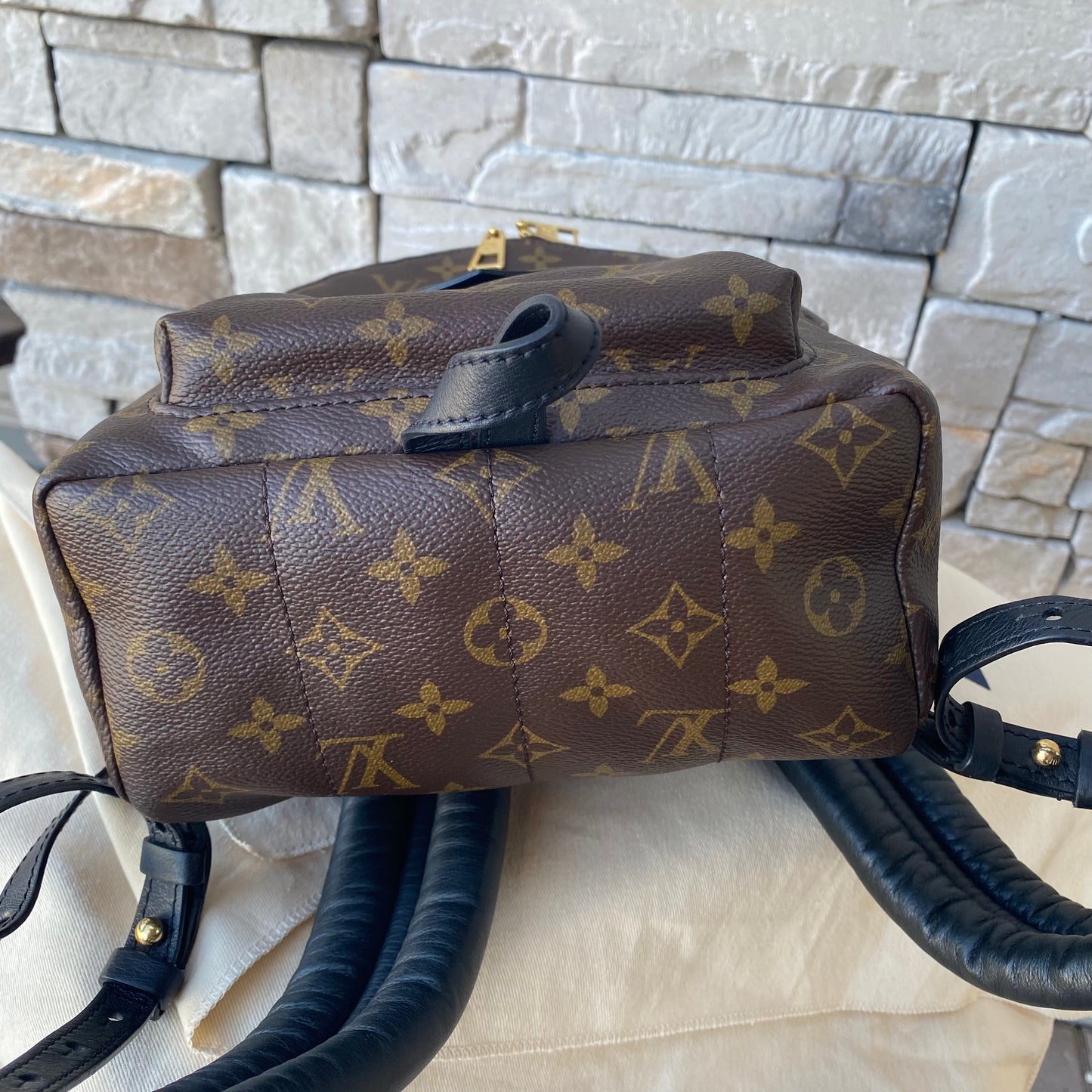 Louis Vuitton Monogram Palm Springs PM Backpack