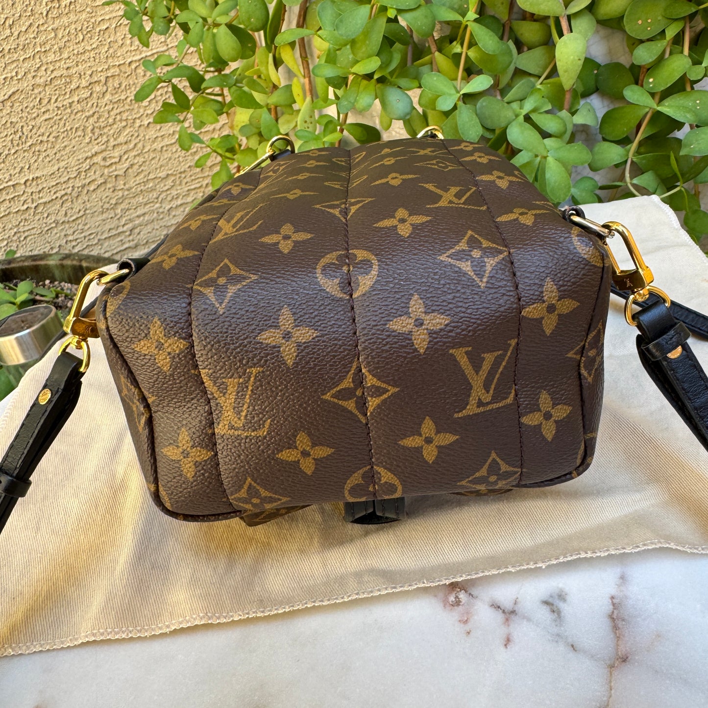 Louis Vuitton Monogram Mini Palm Springs Backpack