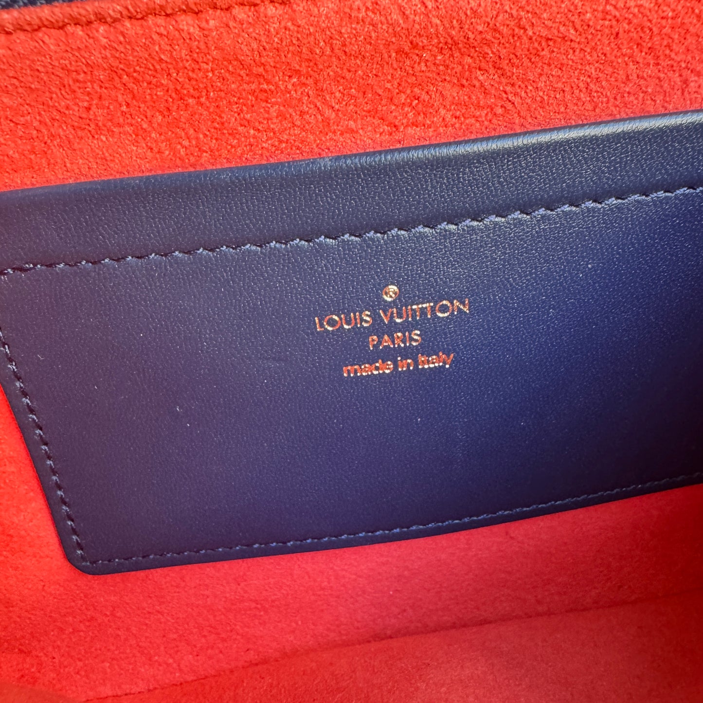 Louis Vuitton Multicolor Garden Pochette Coussin Crossbody