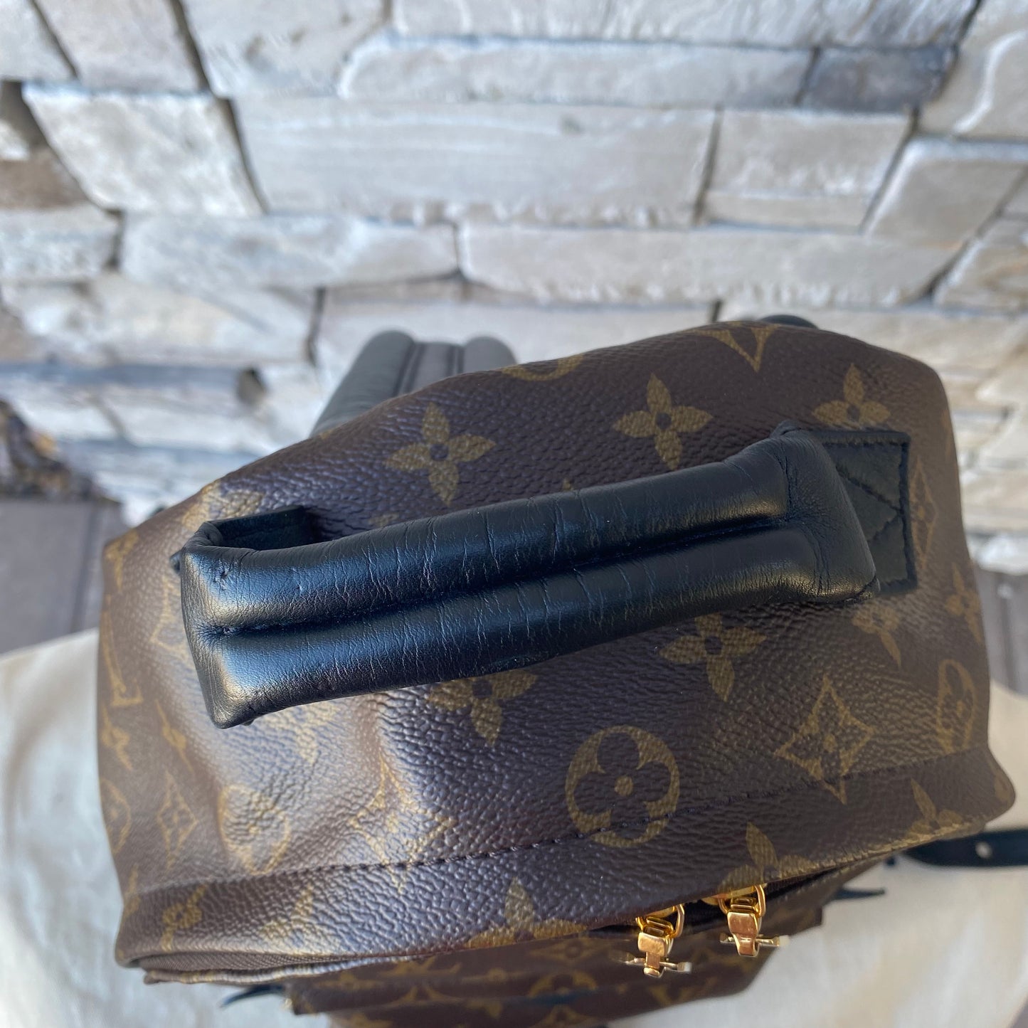 Louis Vuitton Monogram Palm Springs PM Backpack