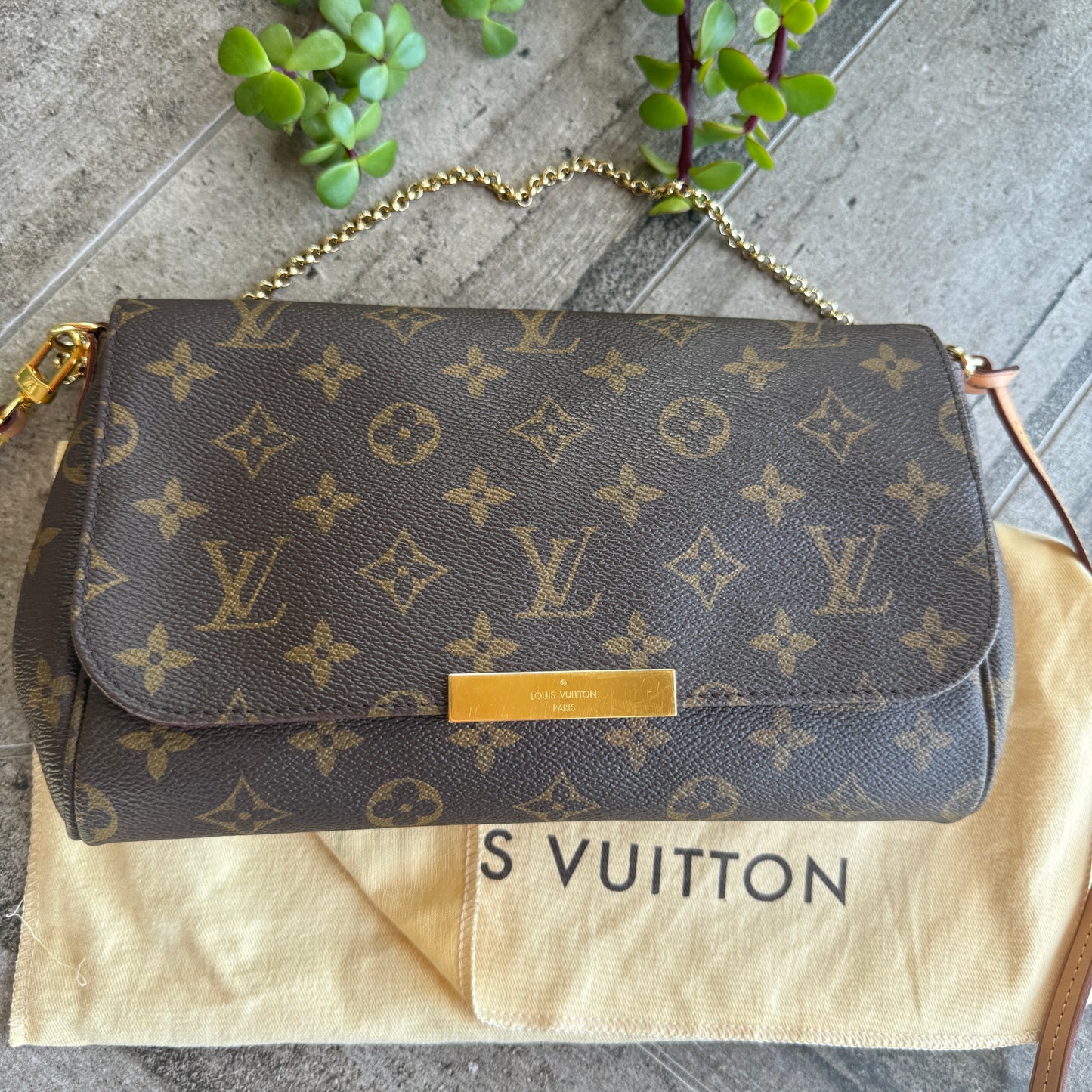 Louis Vuitton Monogram Favorite MM Crossbody