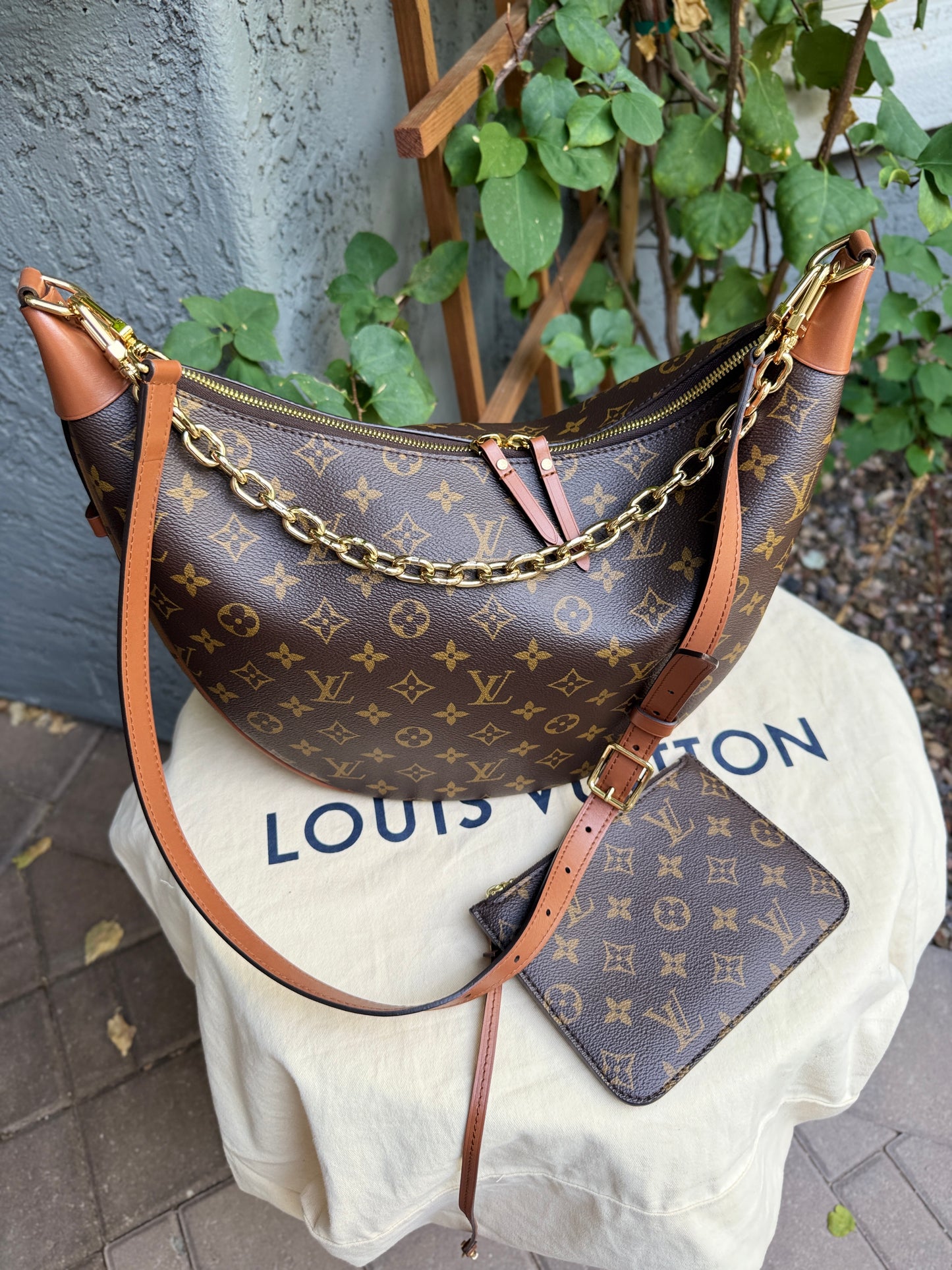 Louis Vuitton Reverse Monogram Loop Hobo Shoulder Bag