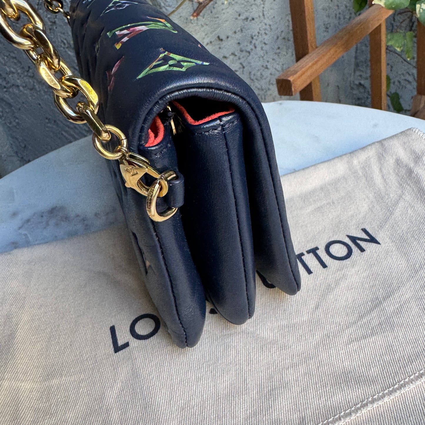 Louis Vuitton Multicolor Garden Pochette Coussin Crossbody