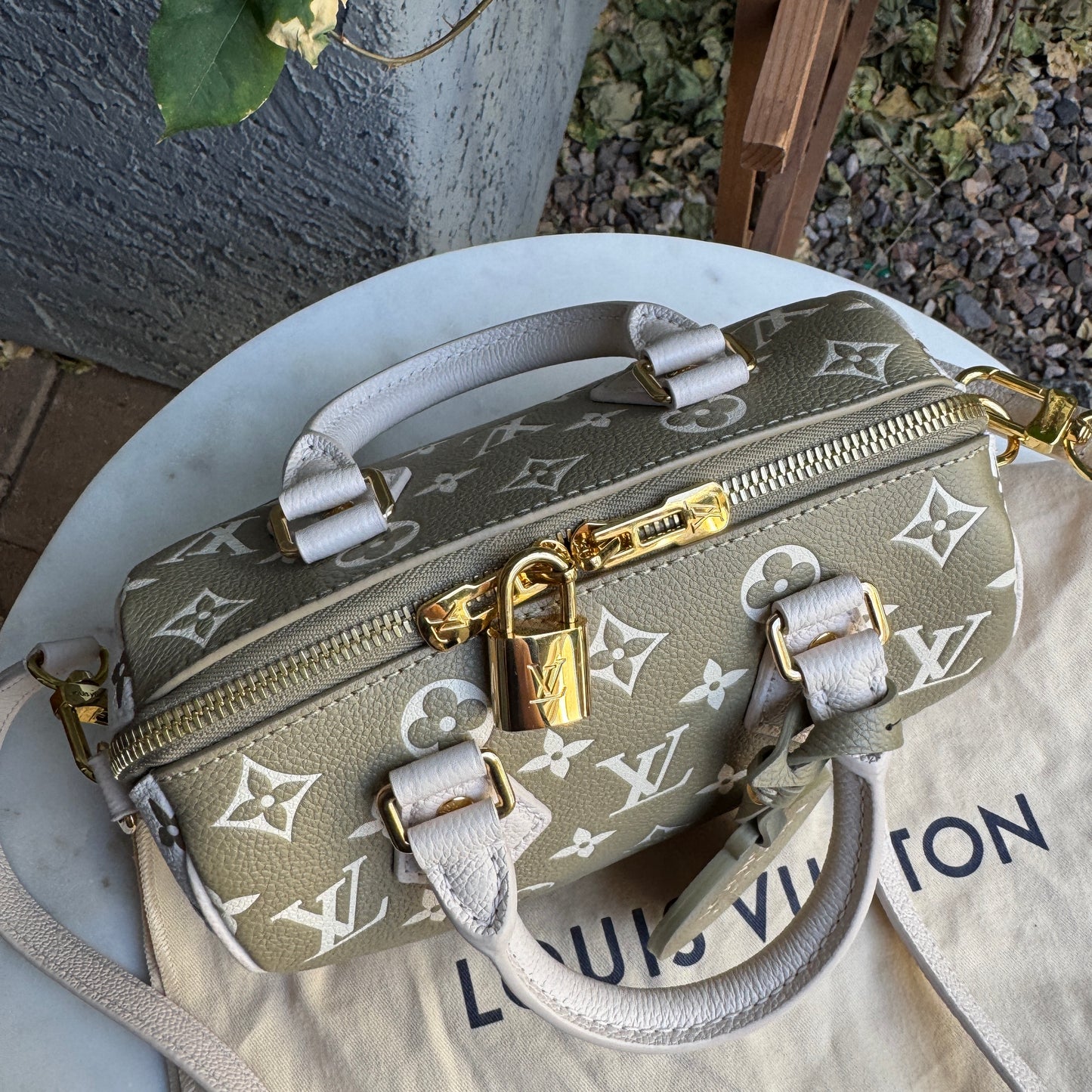 Louis Vuitton Speedy Bandoulière 20 Crossbody