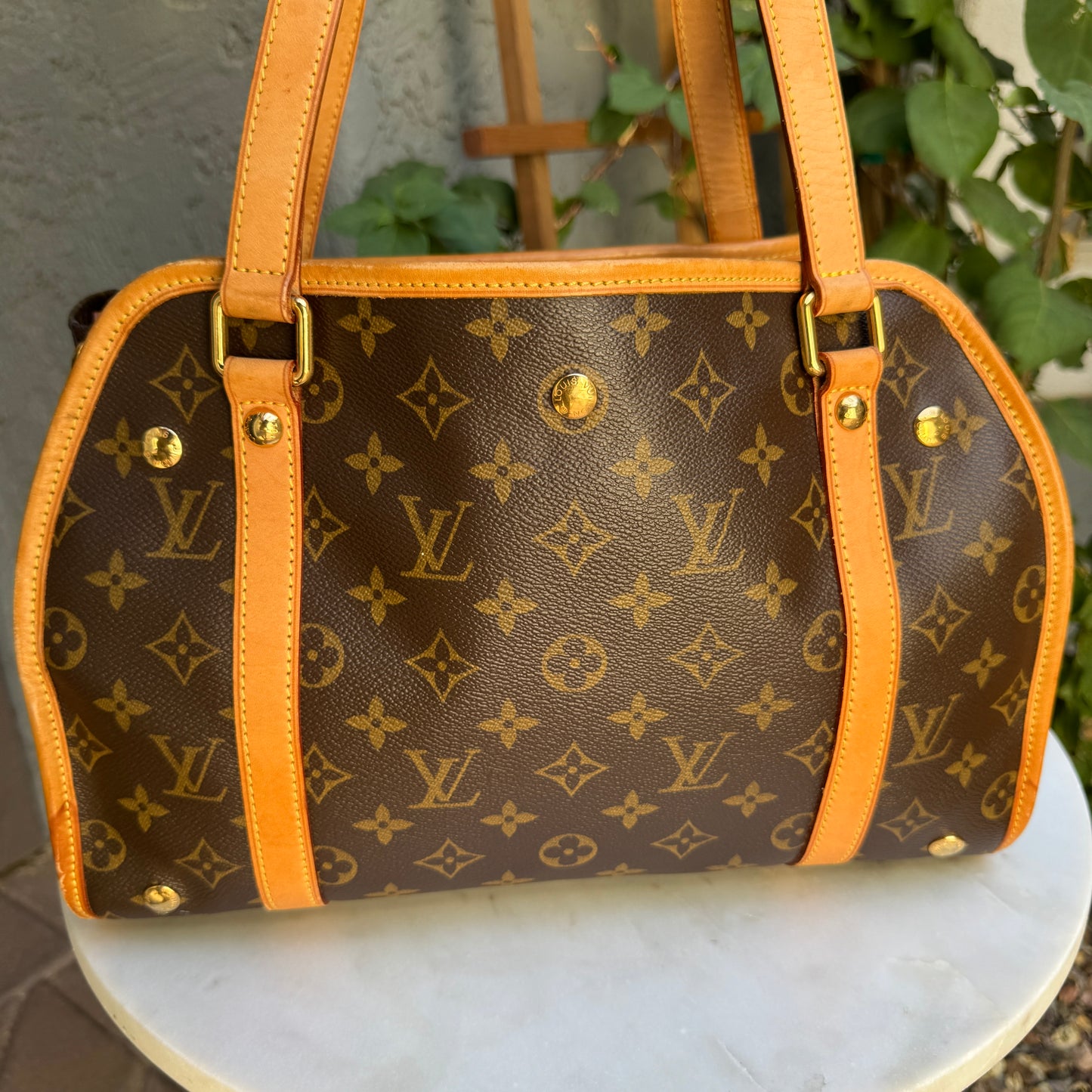 Louis Vuitton Monogram Baxter PM Dog Carrier