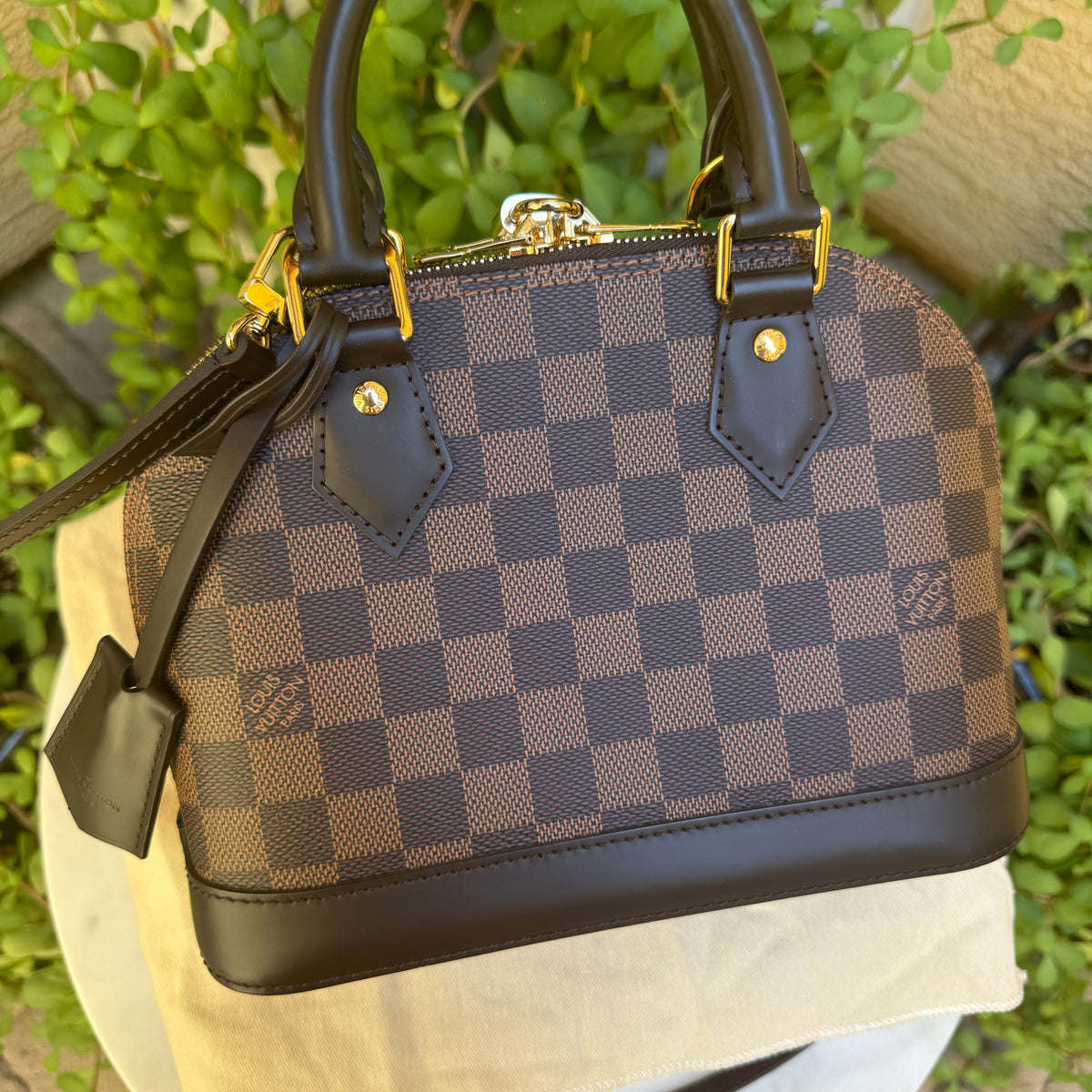 Louis Vuitton Damier Ebene Alma BB