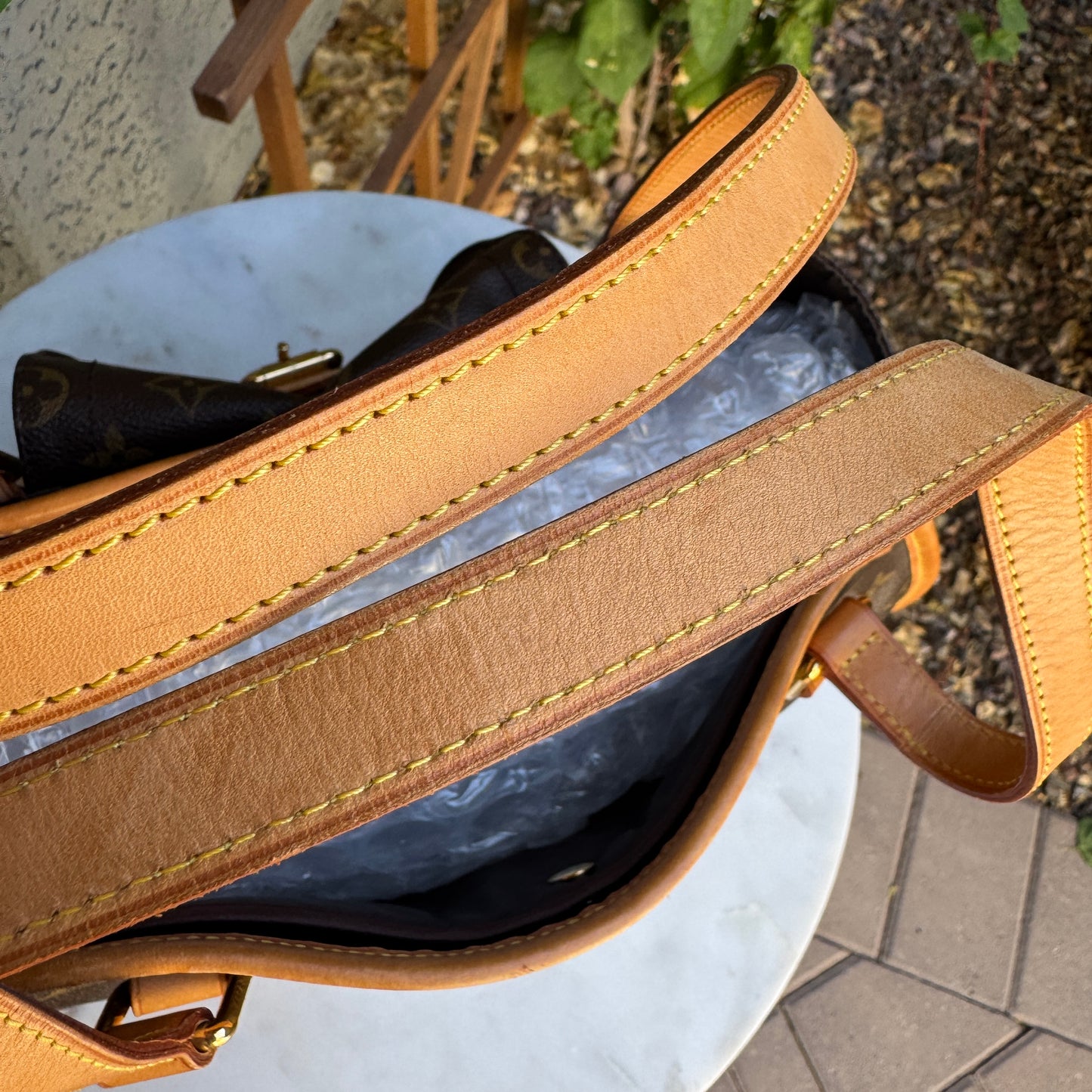 Louis Vuitton Monogram Baxter PM Dog Carrier