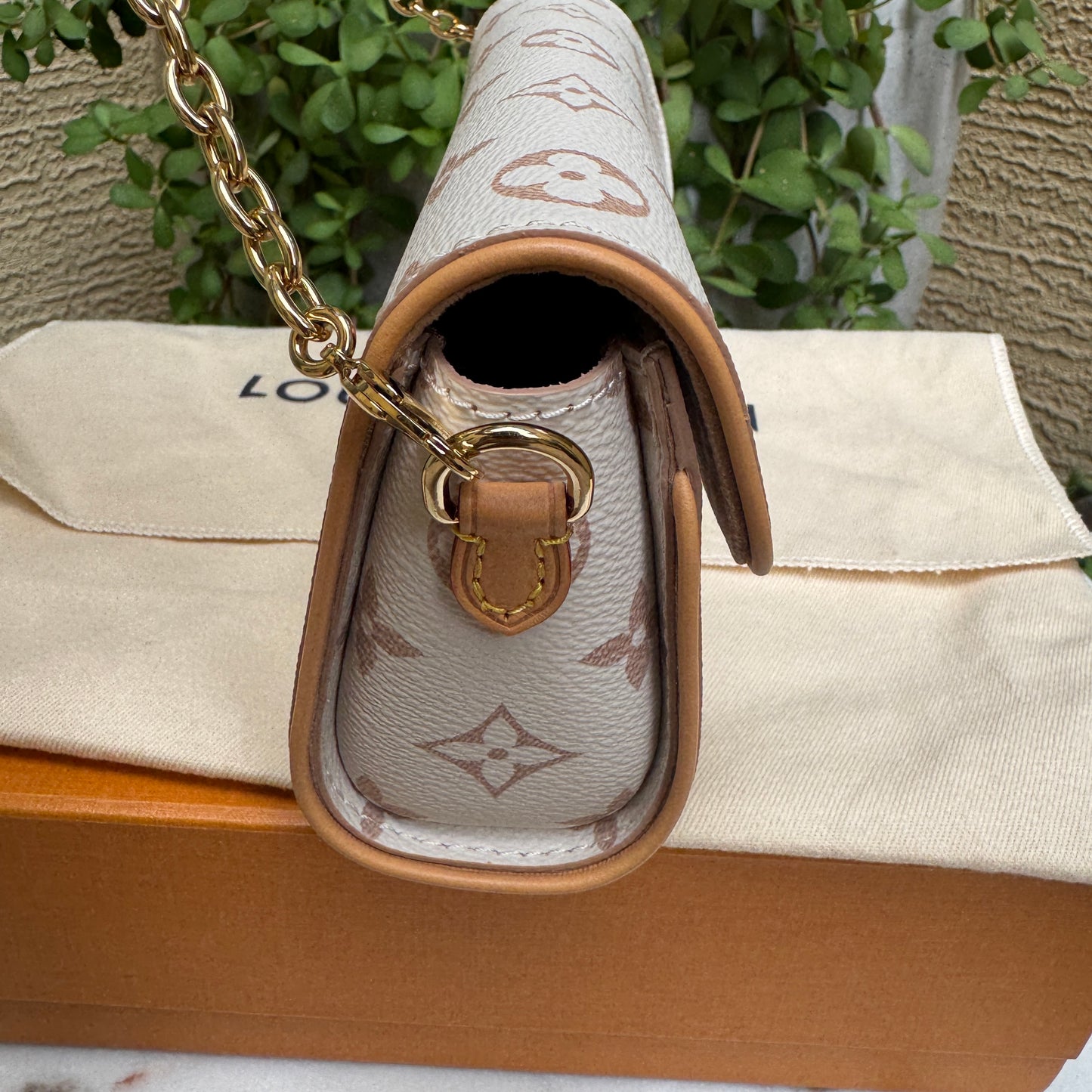 Louis Vuitton Monogram Dune Camille Pochette