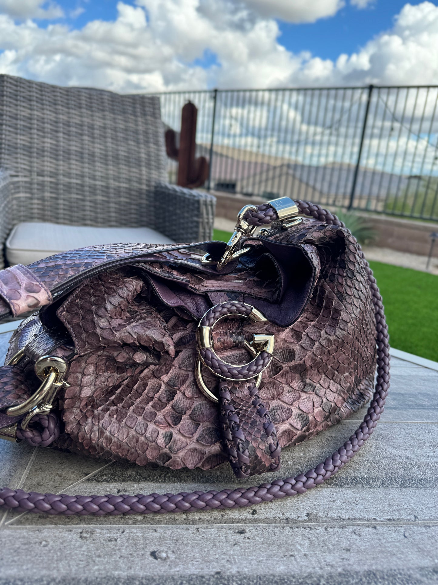 Gucci G Wave Python Hobo