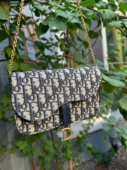 Dior Saddle Pouch with Chain Crossbody