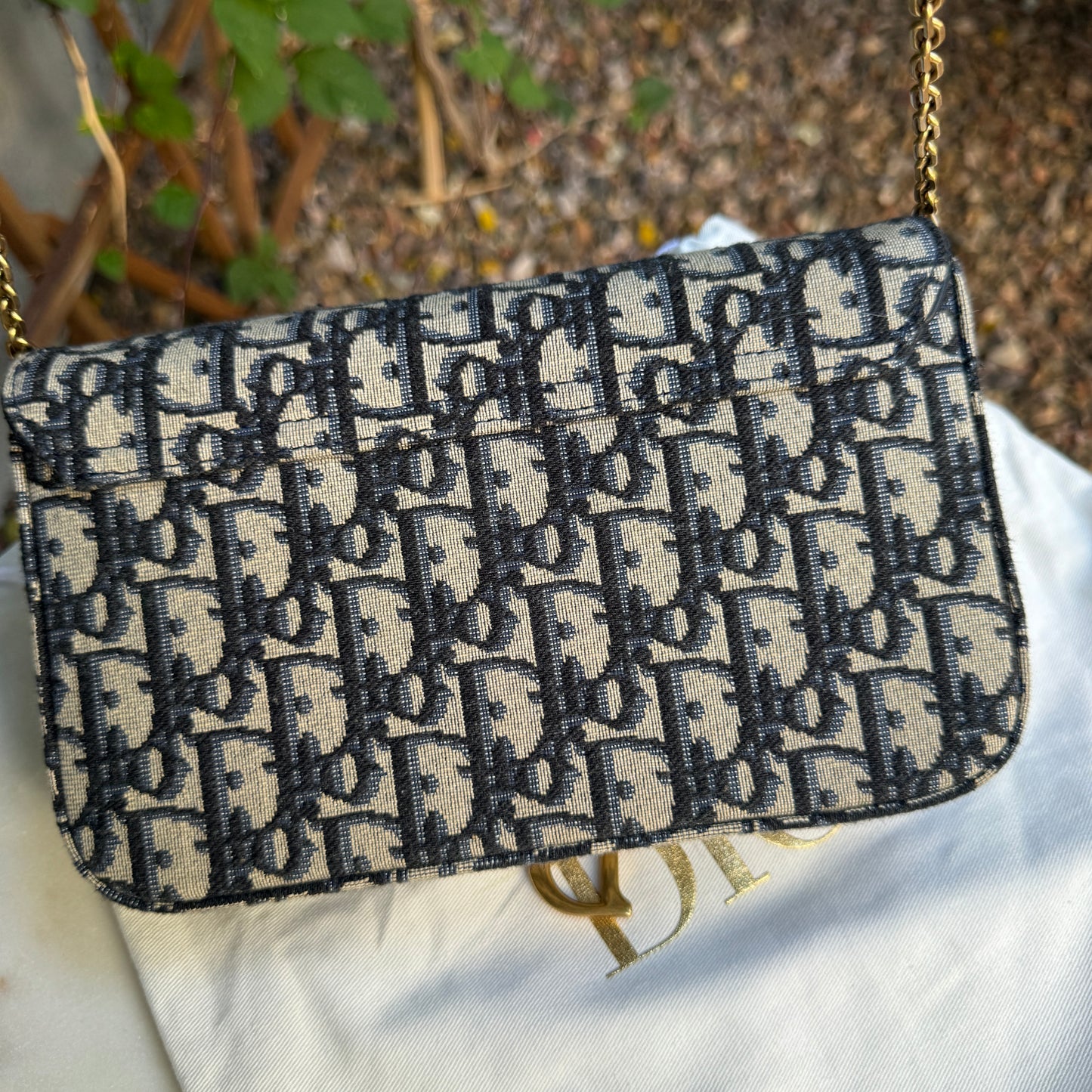 Dior Saddle Pouch with Chain Crossbody
