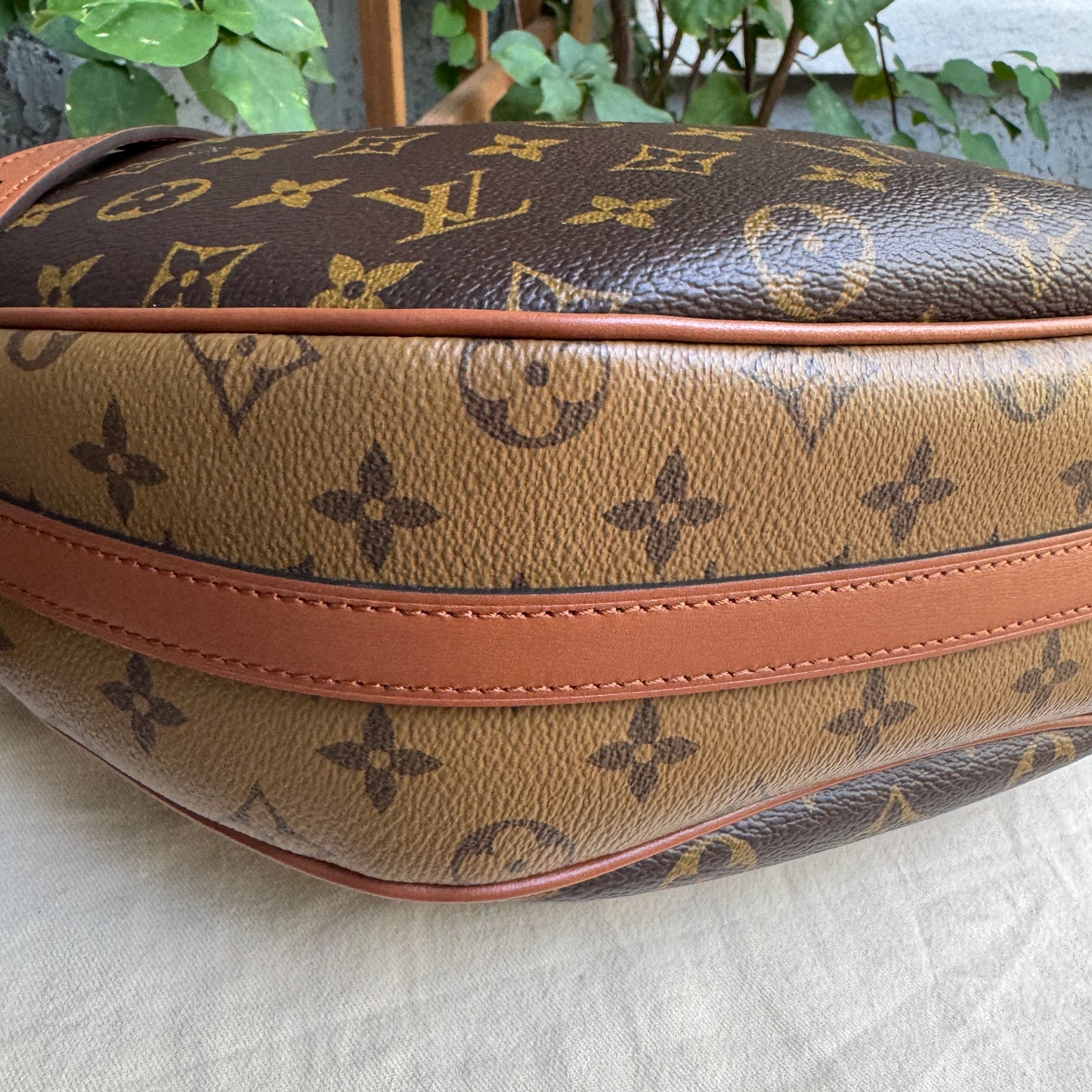 Louis Vuitton Reverse Monogram Loop Hobo Shoulder Bag