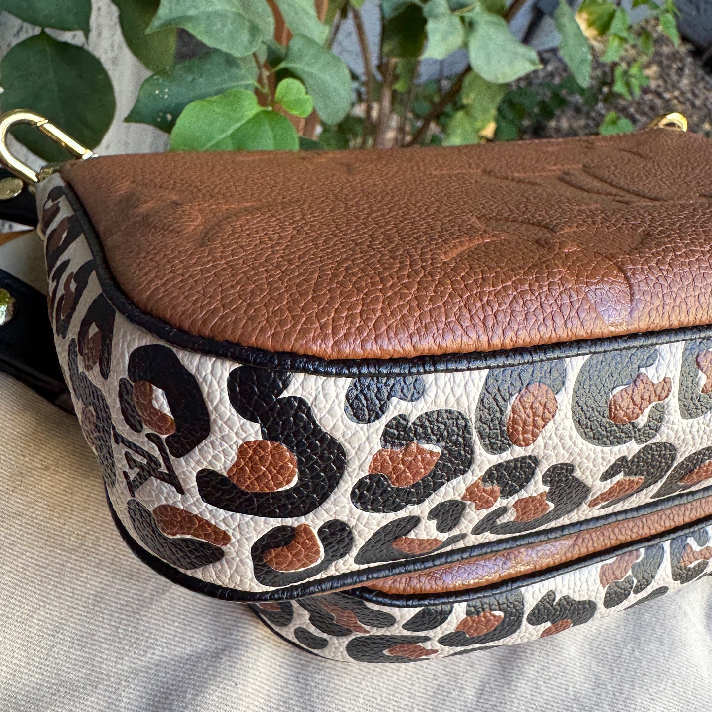 Louis Vuitton Wild at Heart Multi Pochette Accessoires