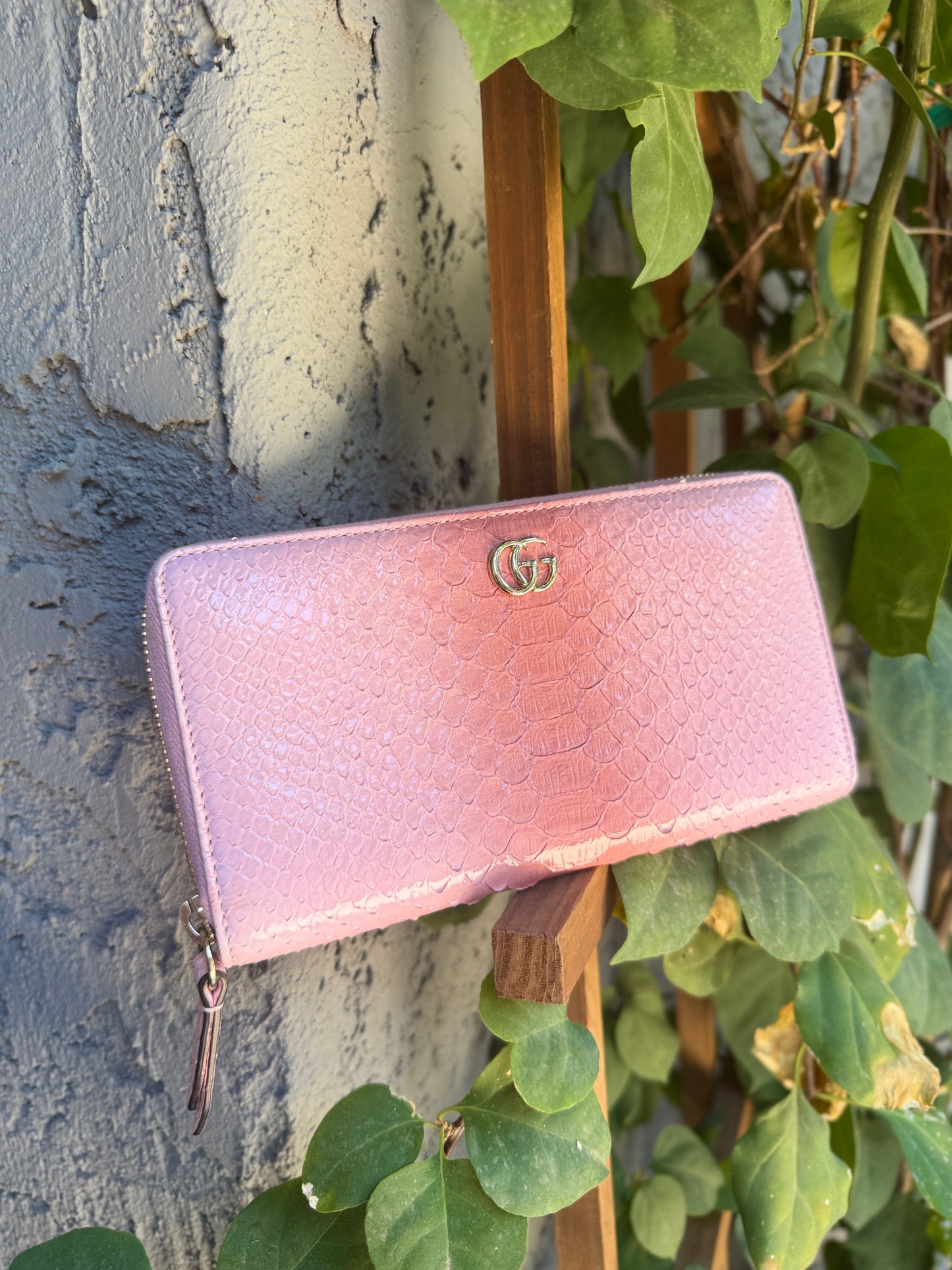 Gucci Ombré Python Zippy Wallet