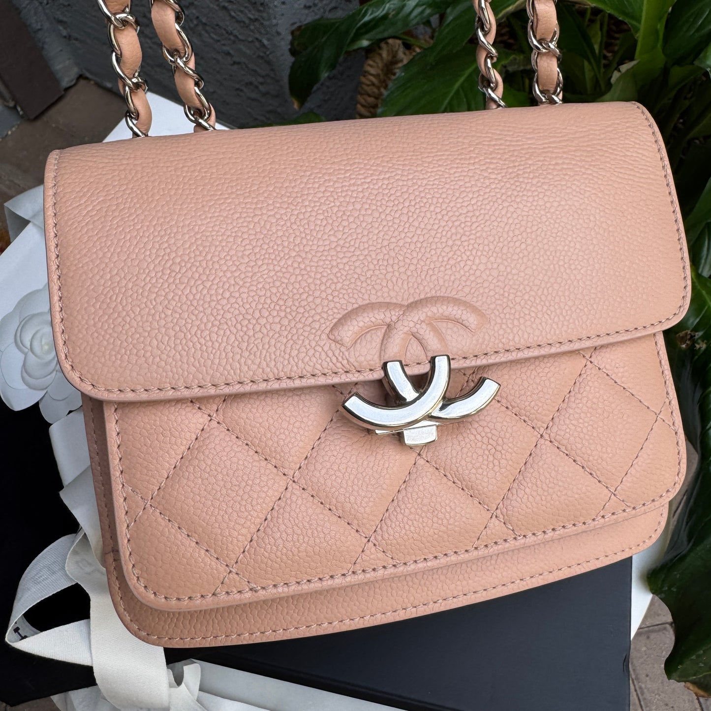 Chanel Caviar Leather CC Box Flap Bag