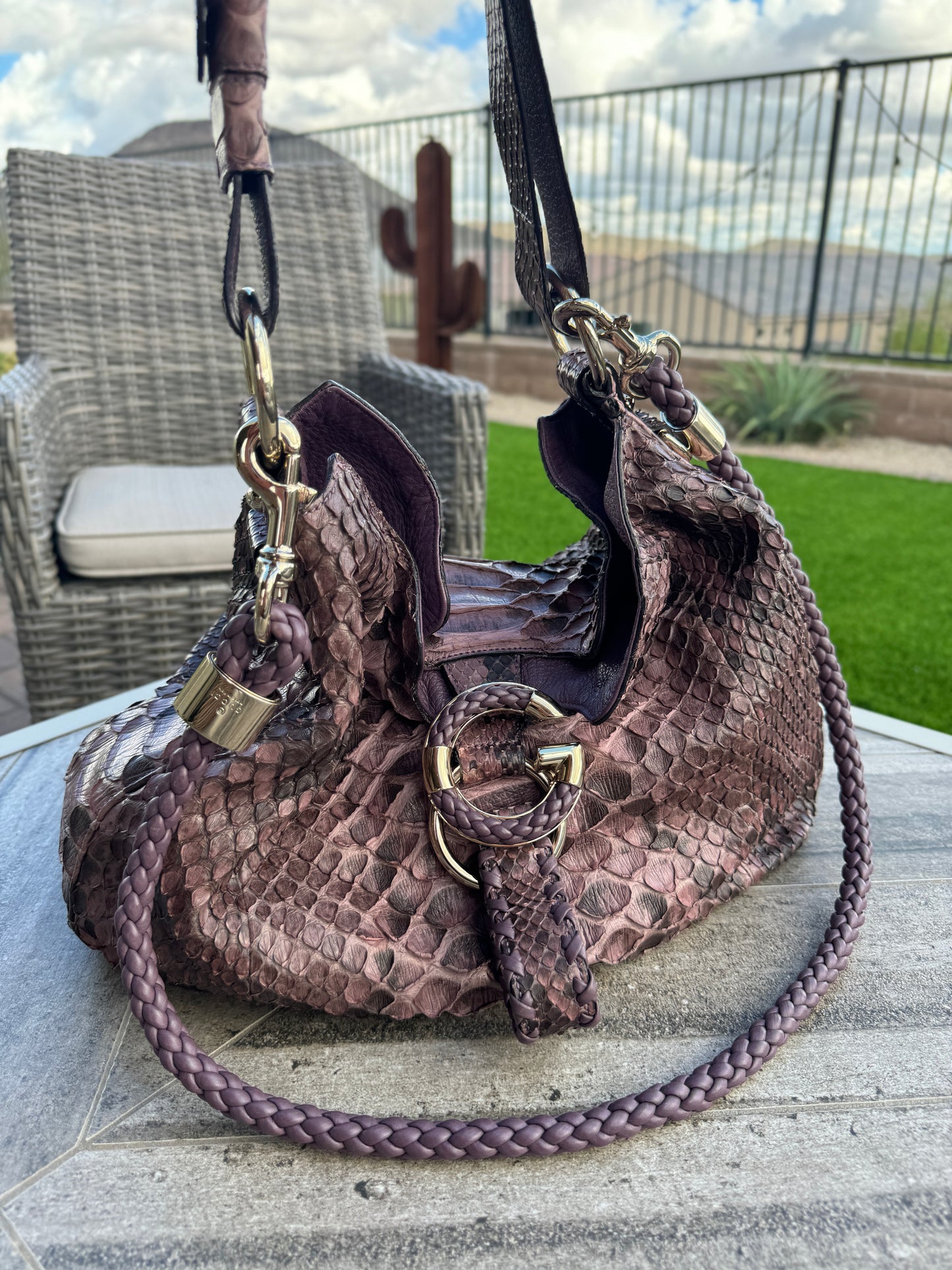 Gucci G Wave Python Hobo