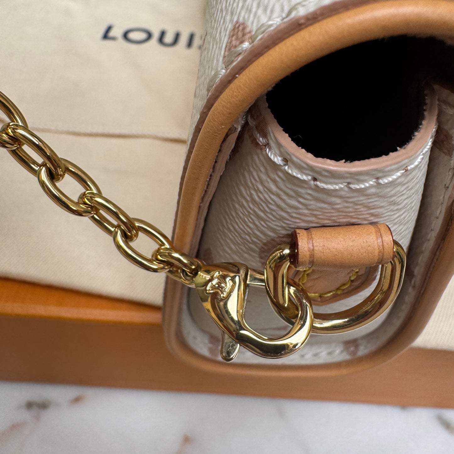 Louis Vuitton Monogram Dune Camille Pochette