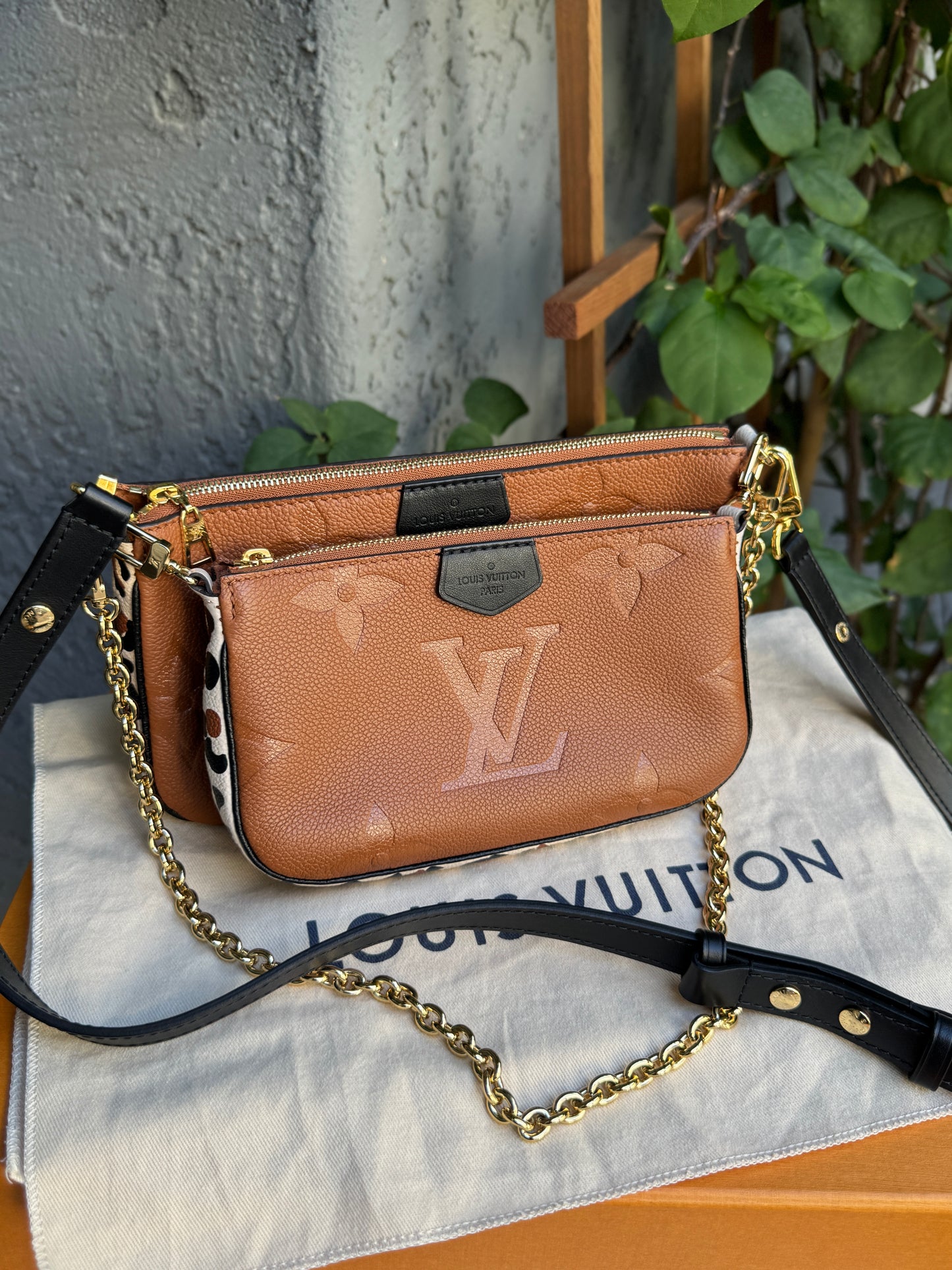Louis Vuitton Wild at Heart Multi Pochette Accessoires