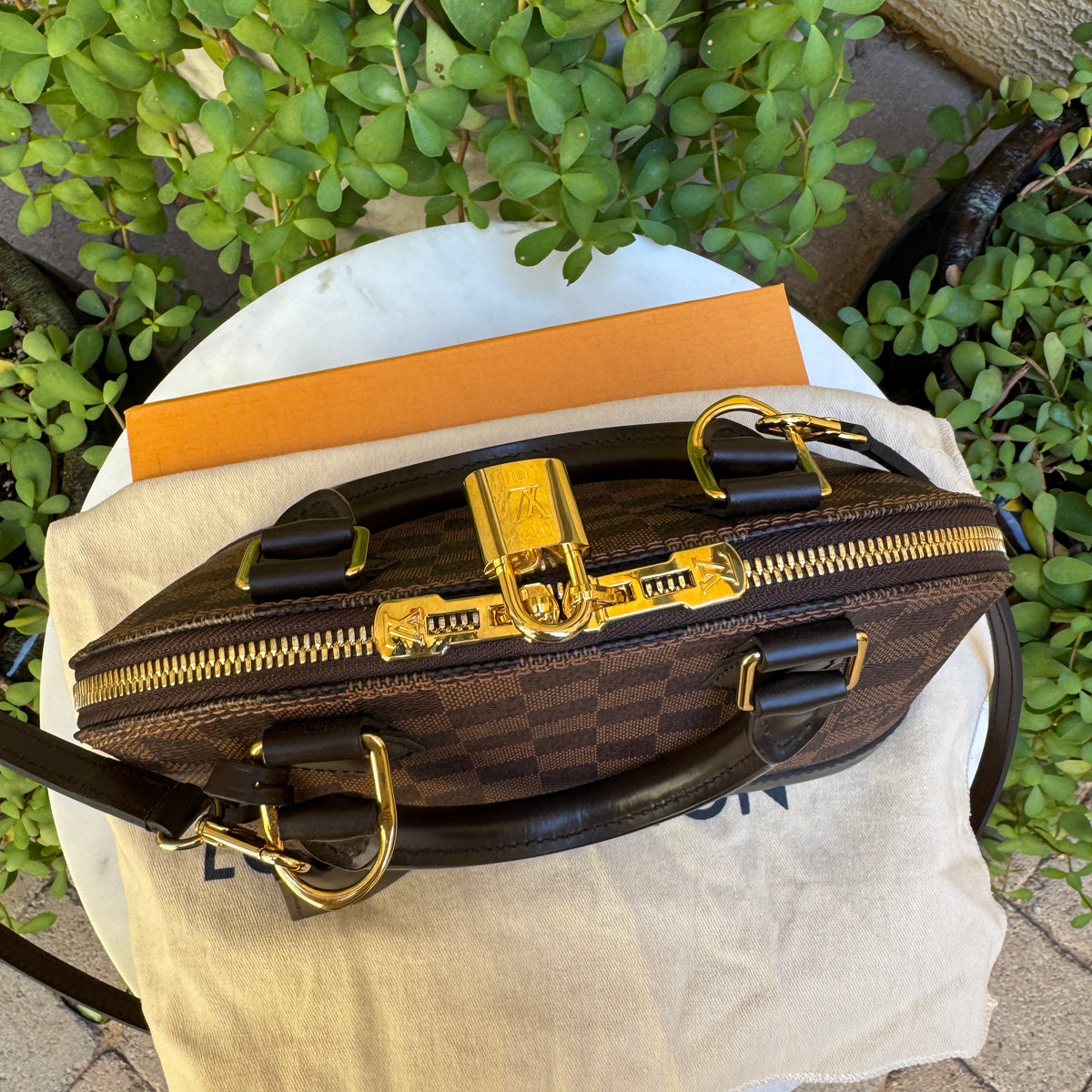 Louis Vuitton Damier Ebene Alma BB