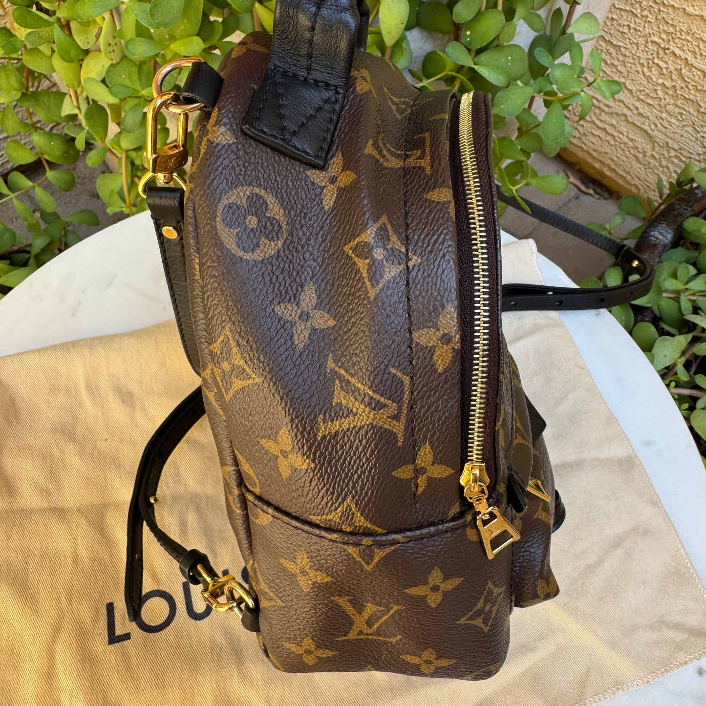 Louis Vuitton Monogram Mini Palm Springs Backpack